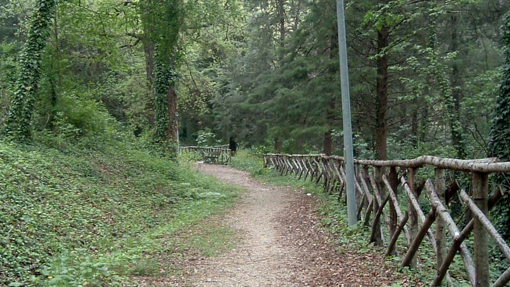 Sentiero, Parco Santa Margherita