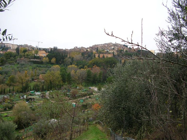 Orti per anziani