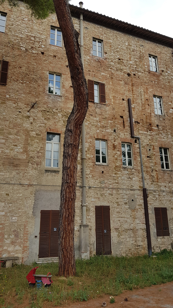 Immagine - Istituto Pieralli in via del Parione