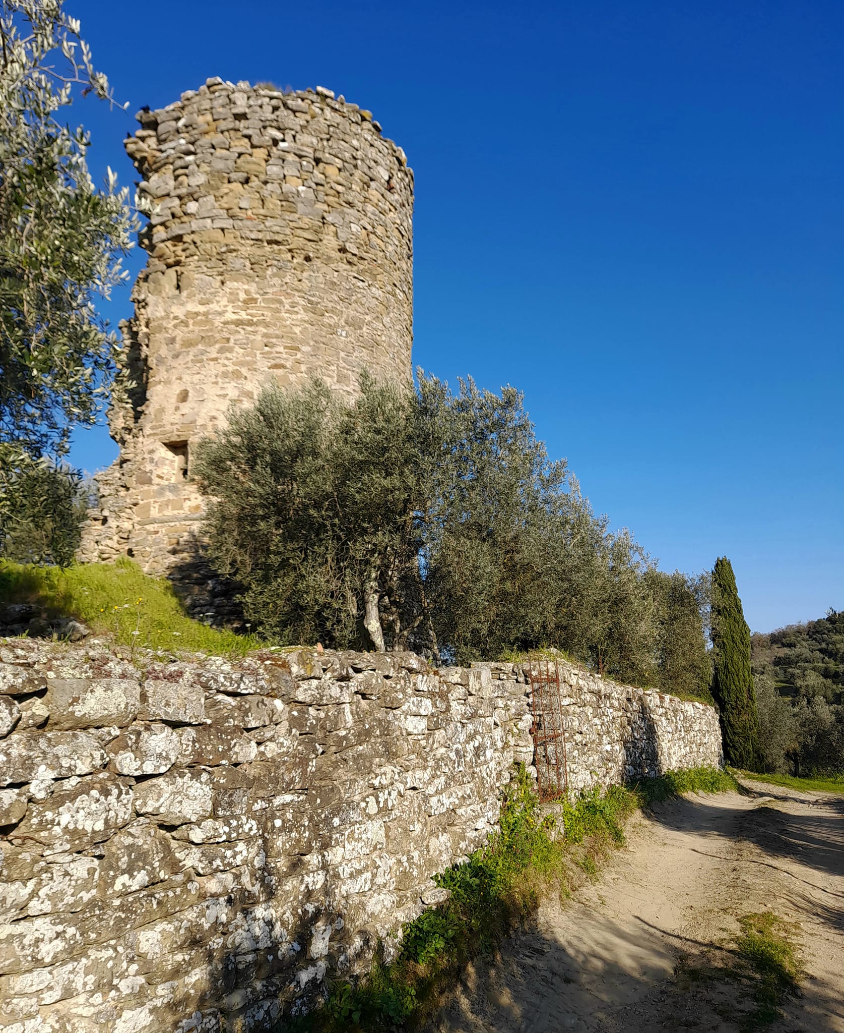 Foto di repertorio