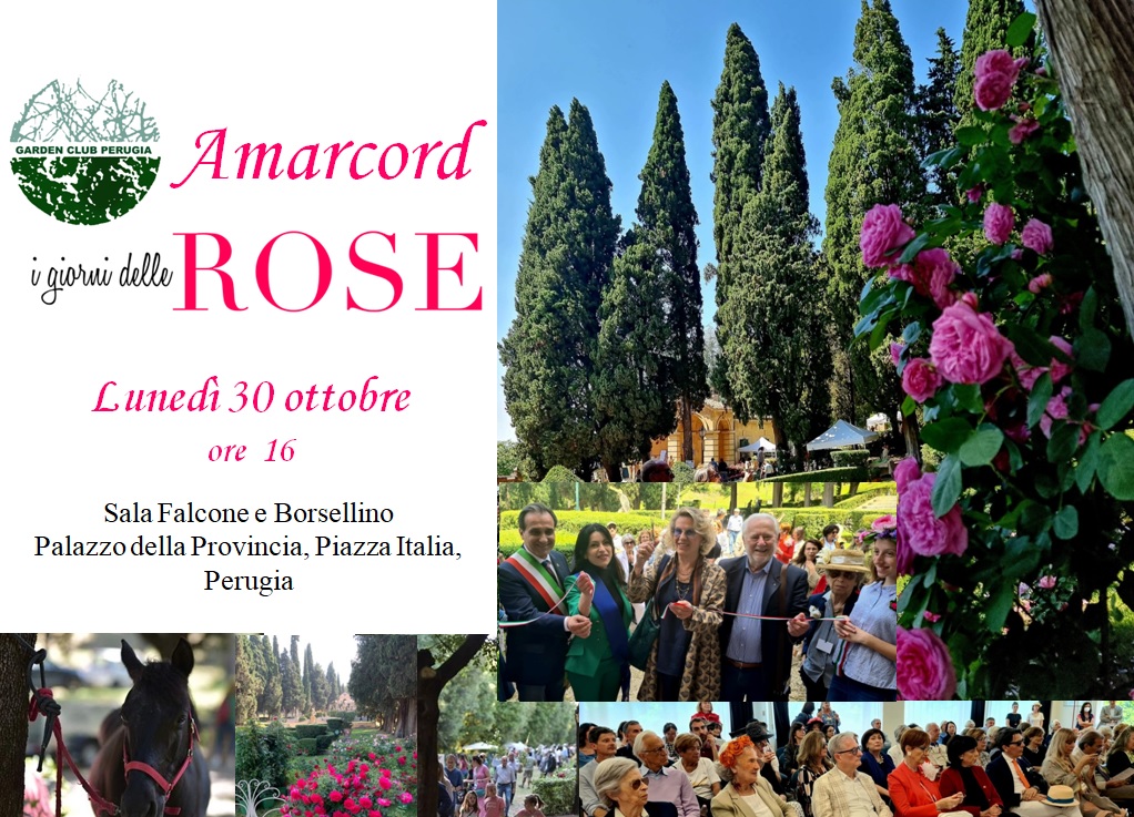 Amarcord_I giorni delle Rose