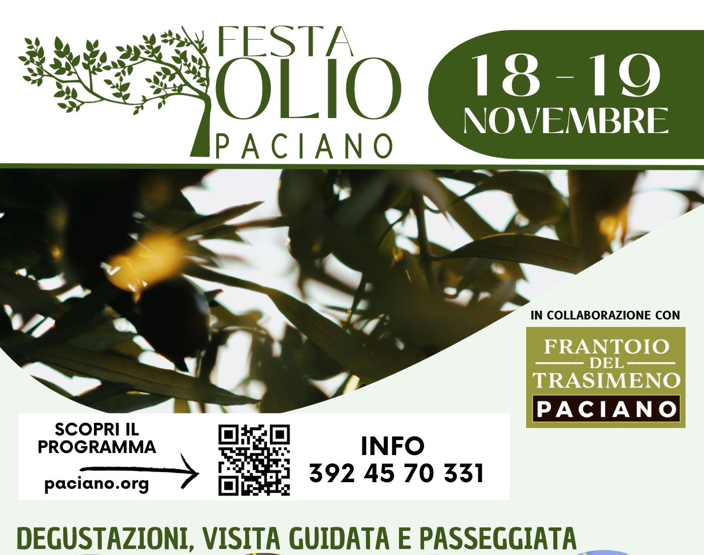 A Paciano torna la tradizionale “Festa dell’olio”