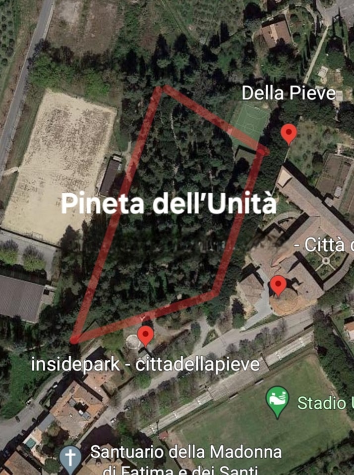Pineta dell'Unità_Area