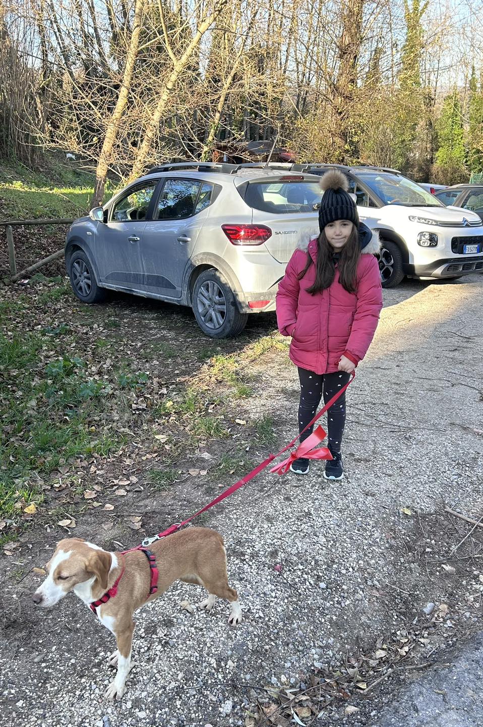 immagine della passeggiata al canile di collestrada