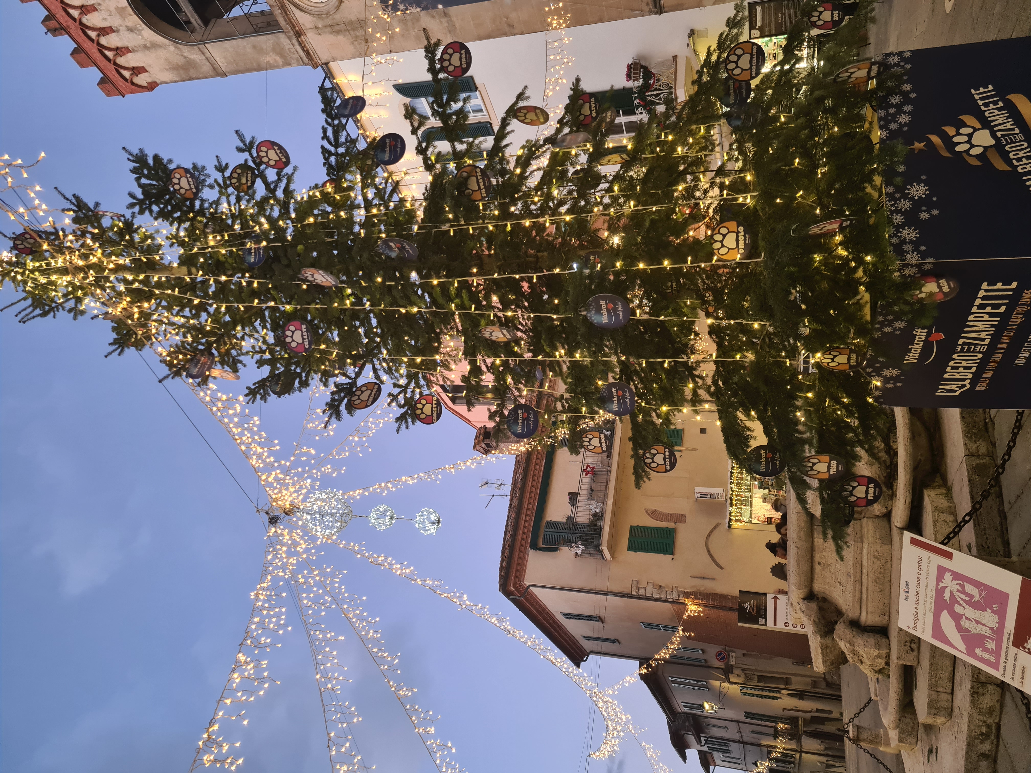 L'Albero delle zampette