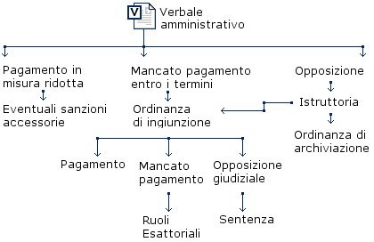 Immagine - Schema di flusso dell'iter procedimentale dal verbale alla sanzione