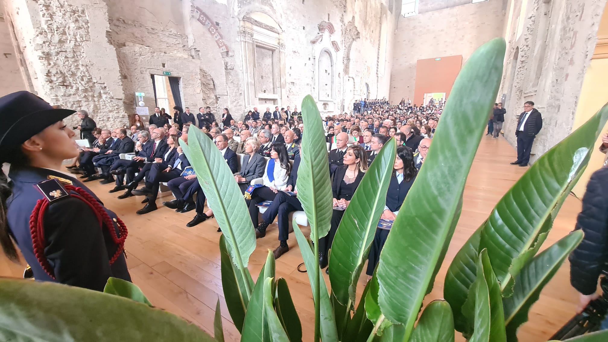 Foto Platea