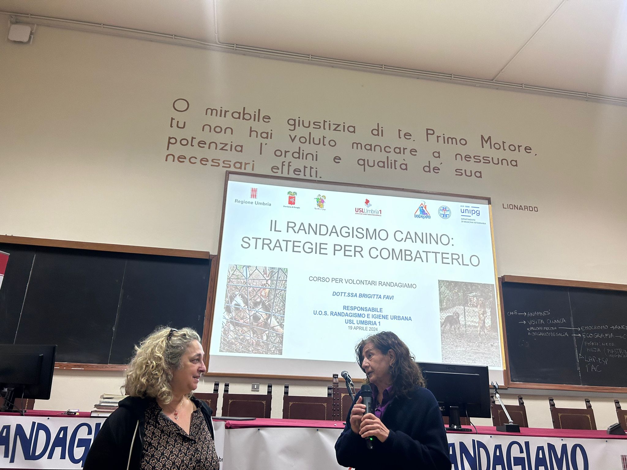 Immagine del corso per volontari del Progetto RandAgiamo