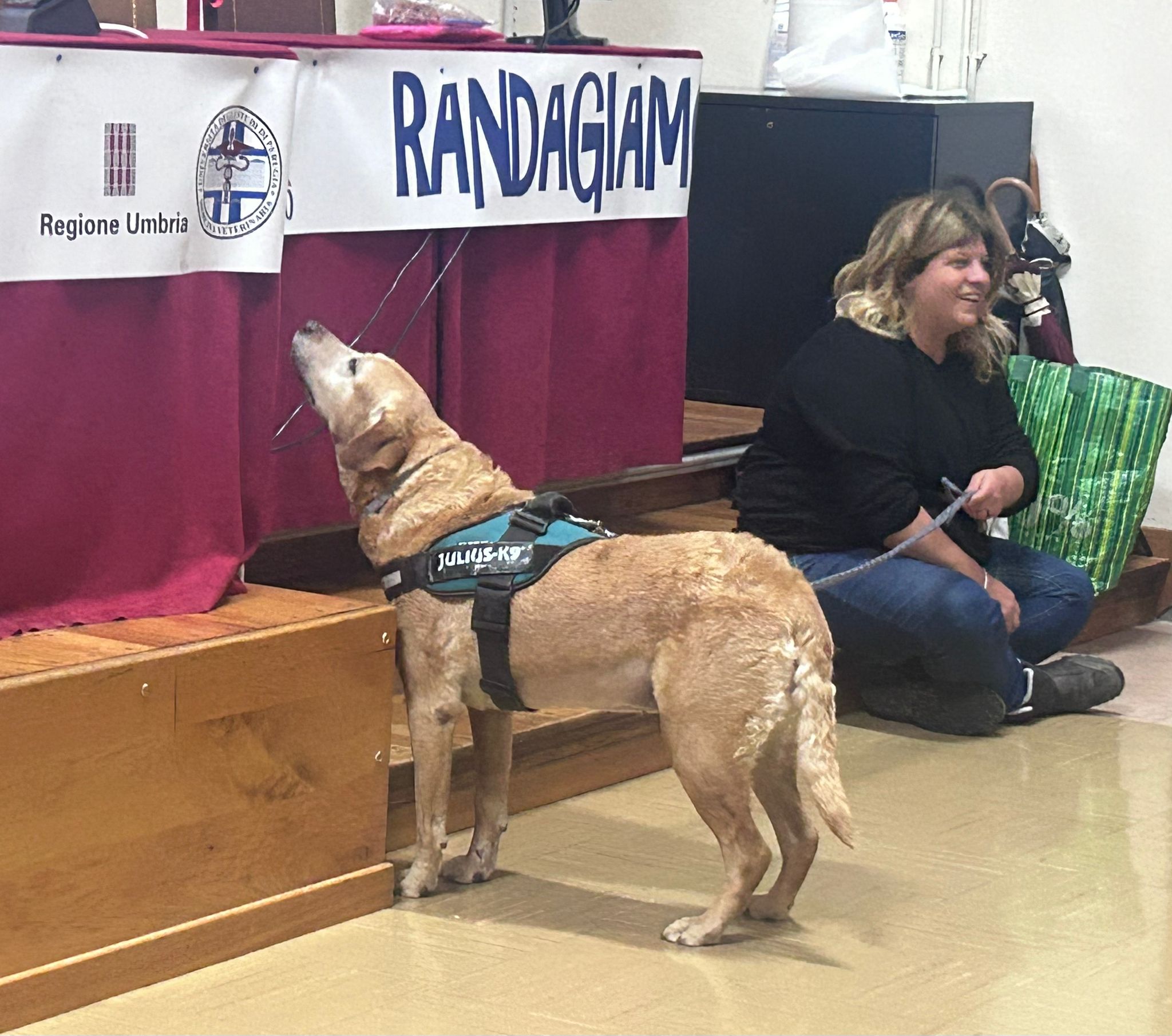 Immagine del corso per volontari del Progetto RandAgiamo