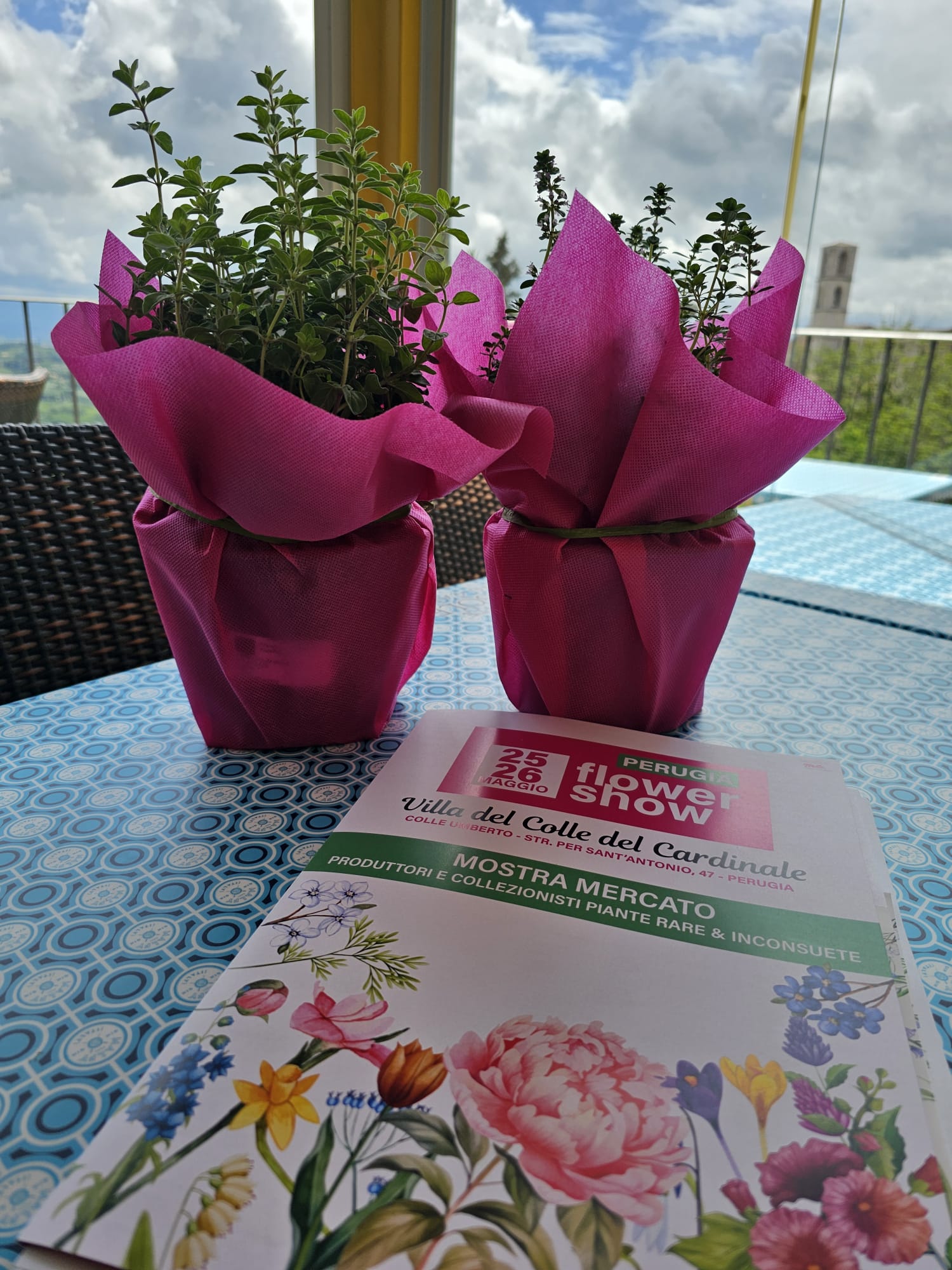 Perugia Flower Show