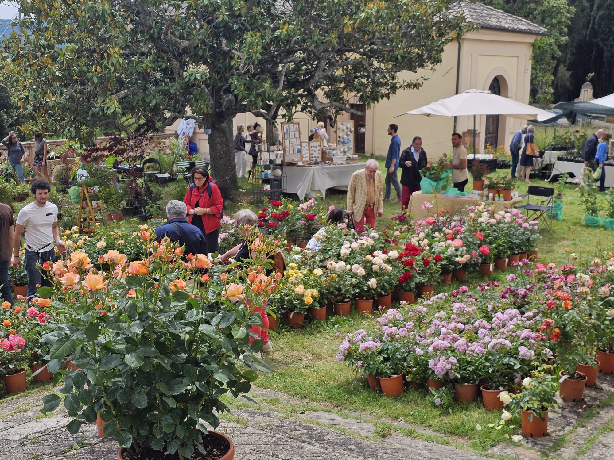 Perugia Flower Show - Inaugurata la 17esima edizione primaverile