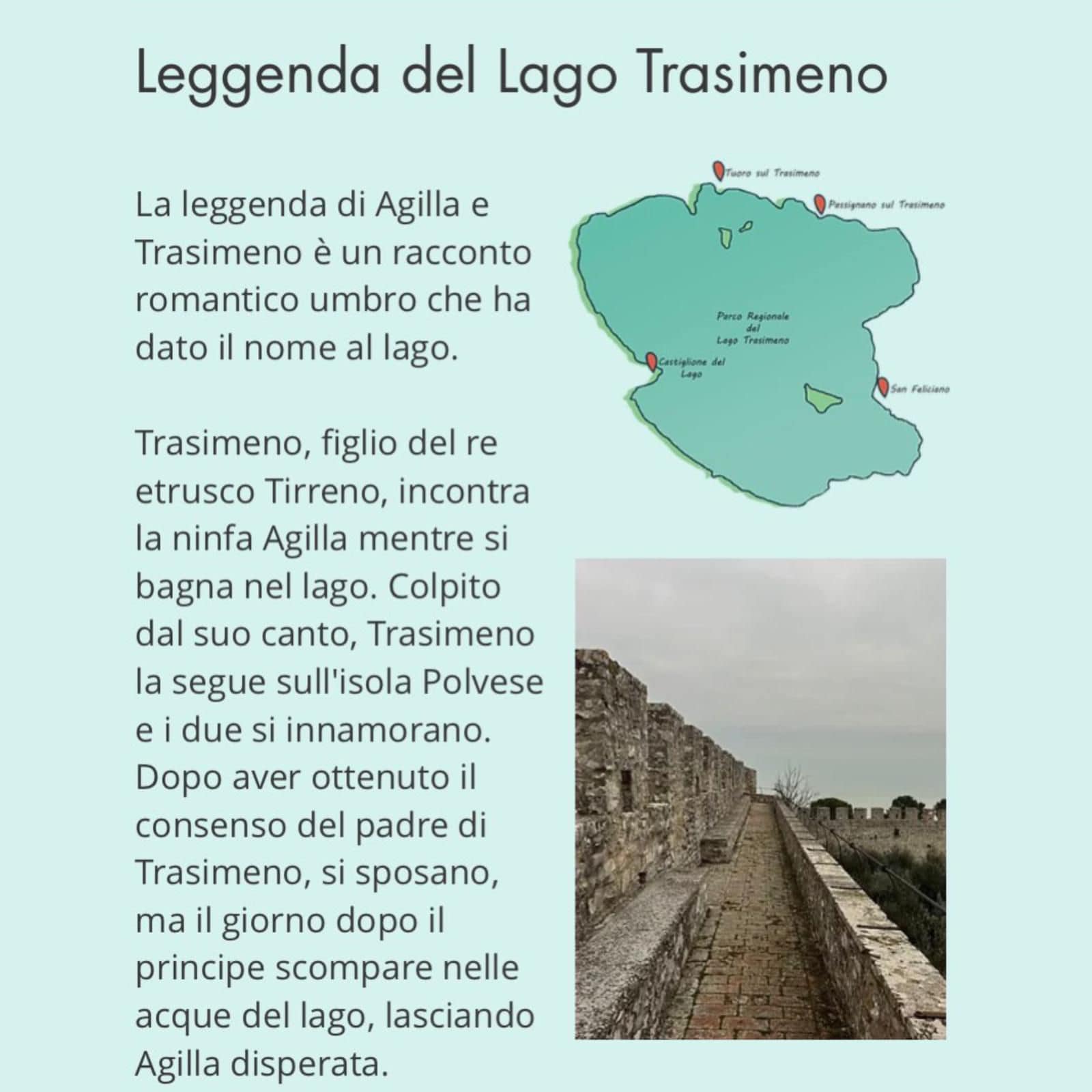 Il sito web 