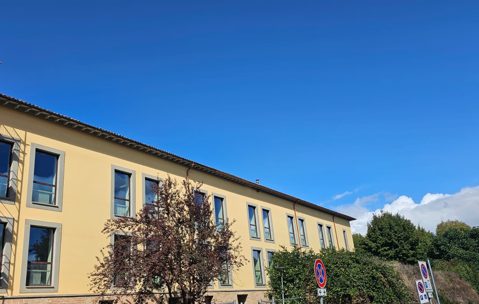 immagine Liceo Plinio il Giovane di Città di Castello