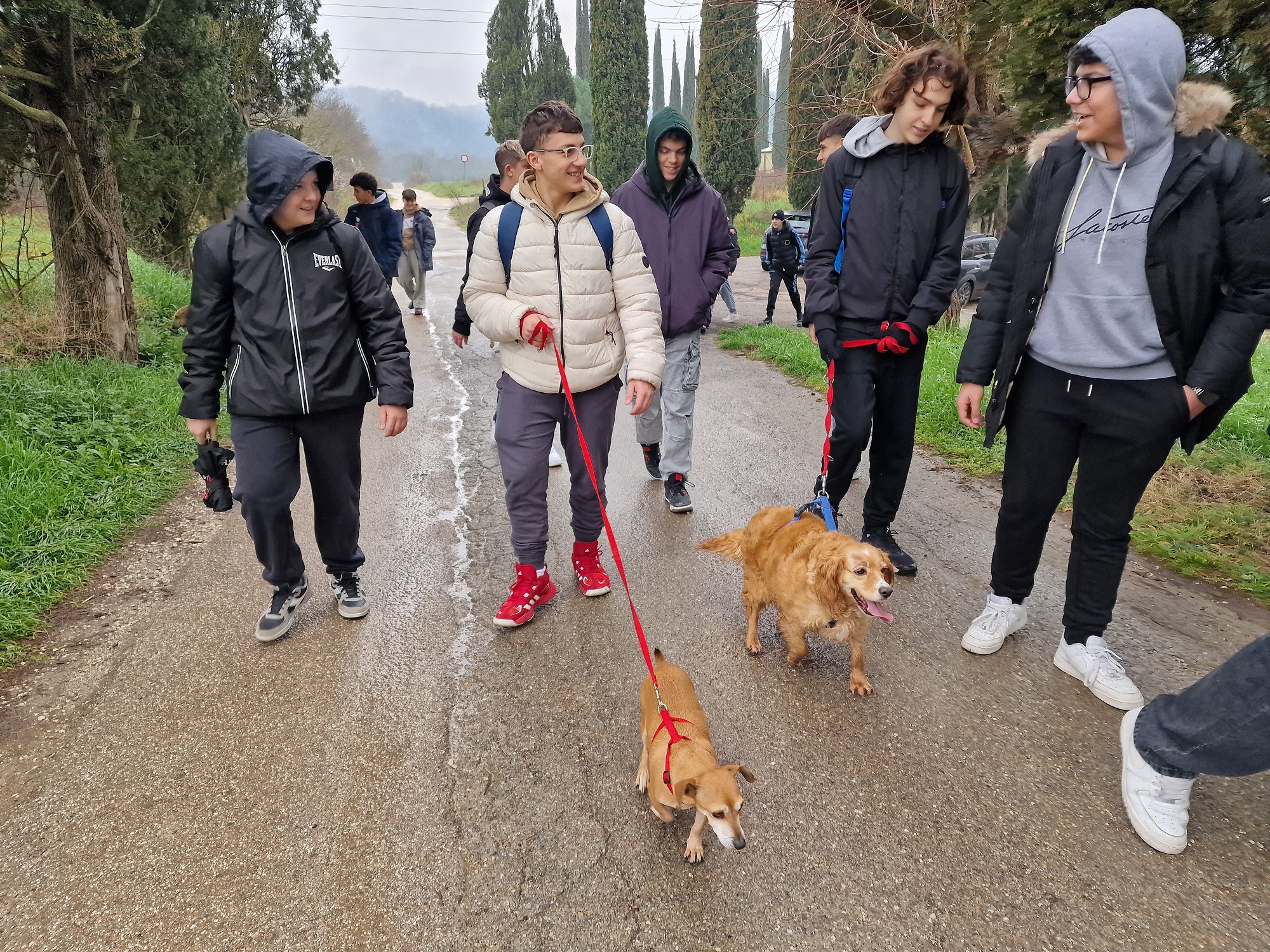 La passeggiata con i cani del Canile