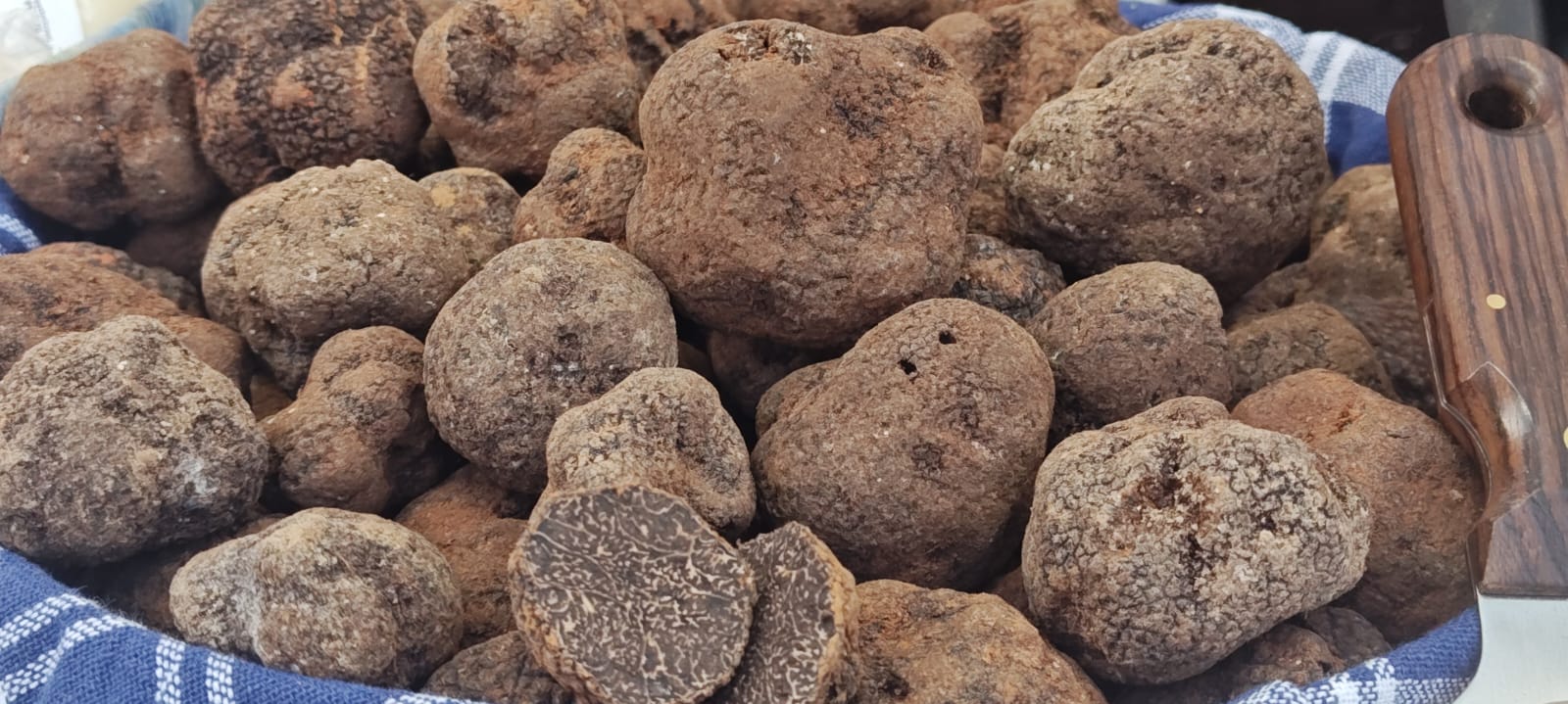 Tartufi