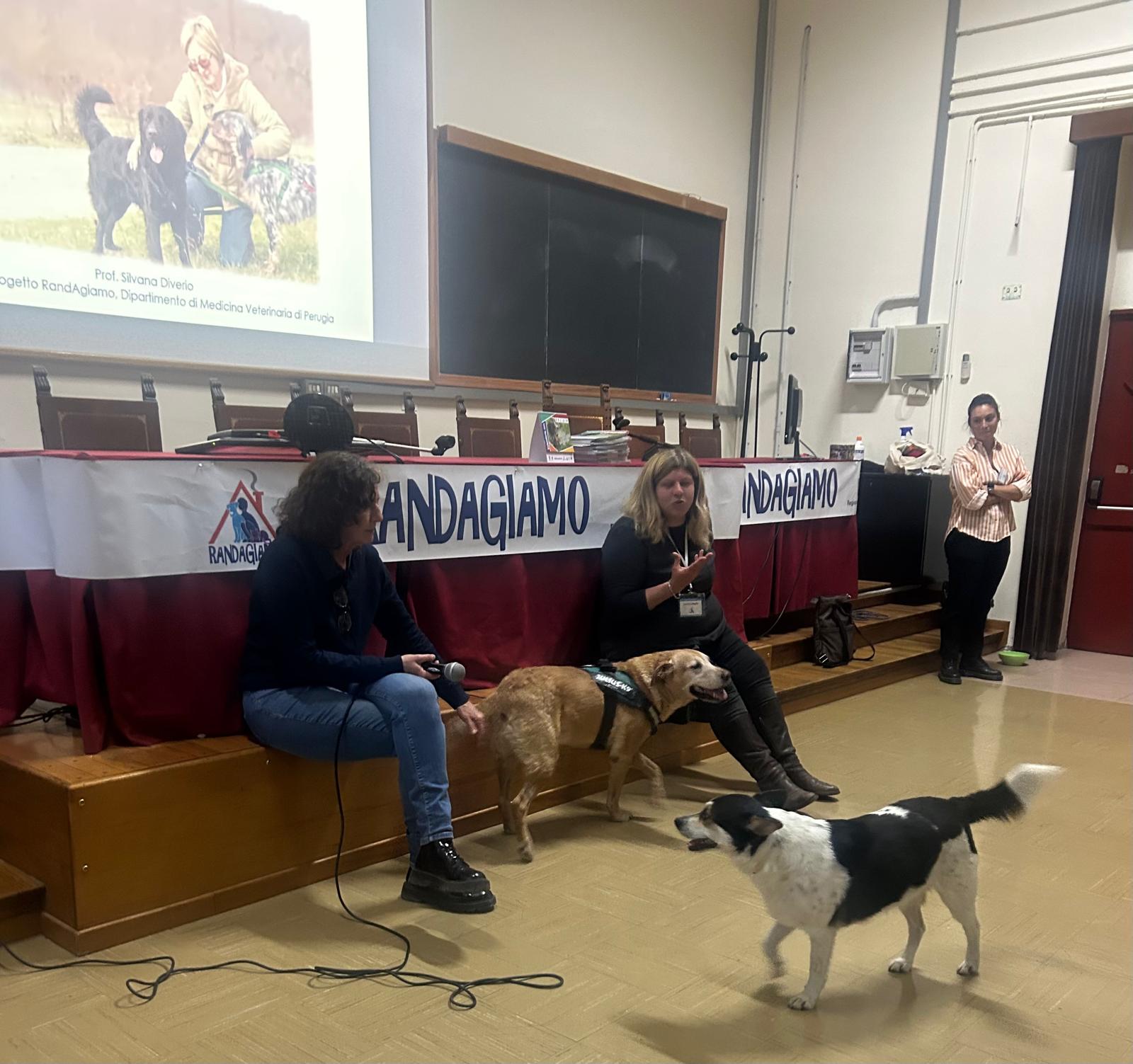 Provincia - Lo Sportello a 4 Zampe partecipa al corso di formazione Randagiamo