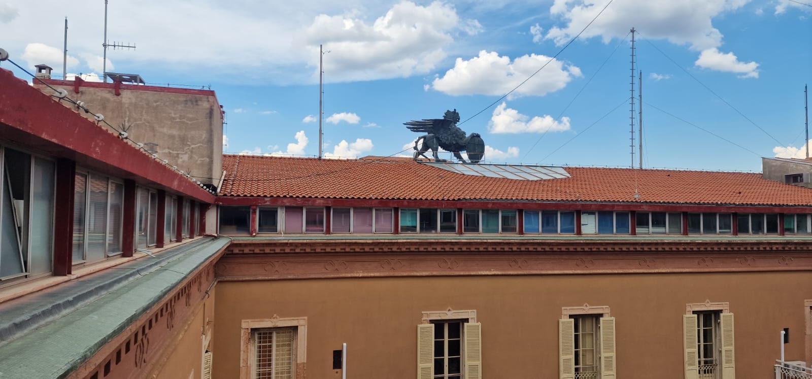 Il grifo