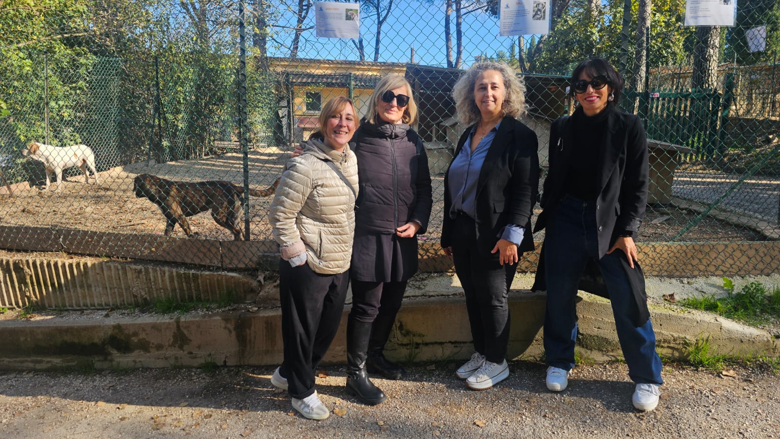 Tanta partecipazione all’Open day del Canile Sanitario di Collestrada