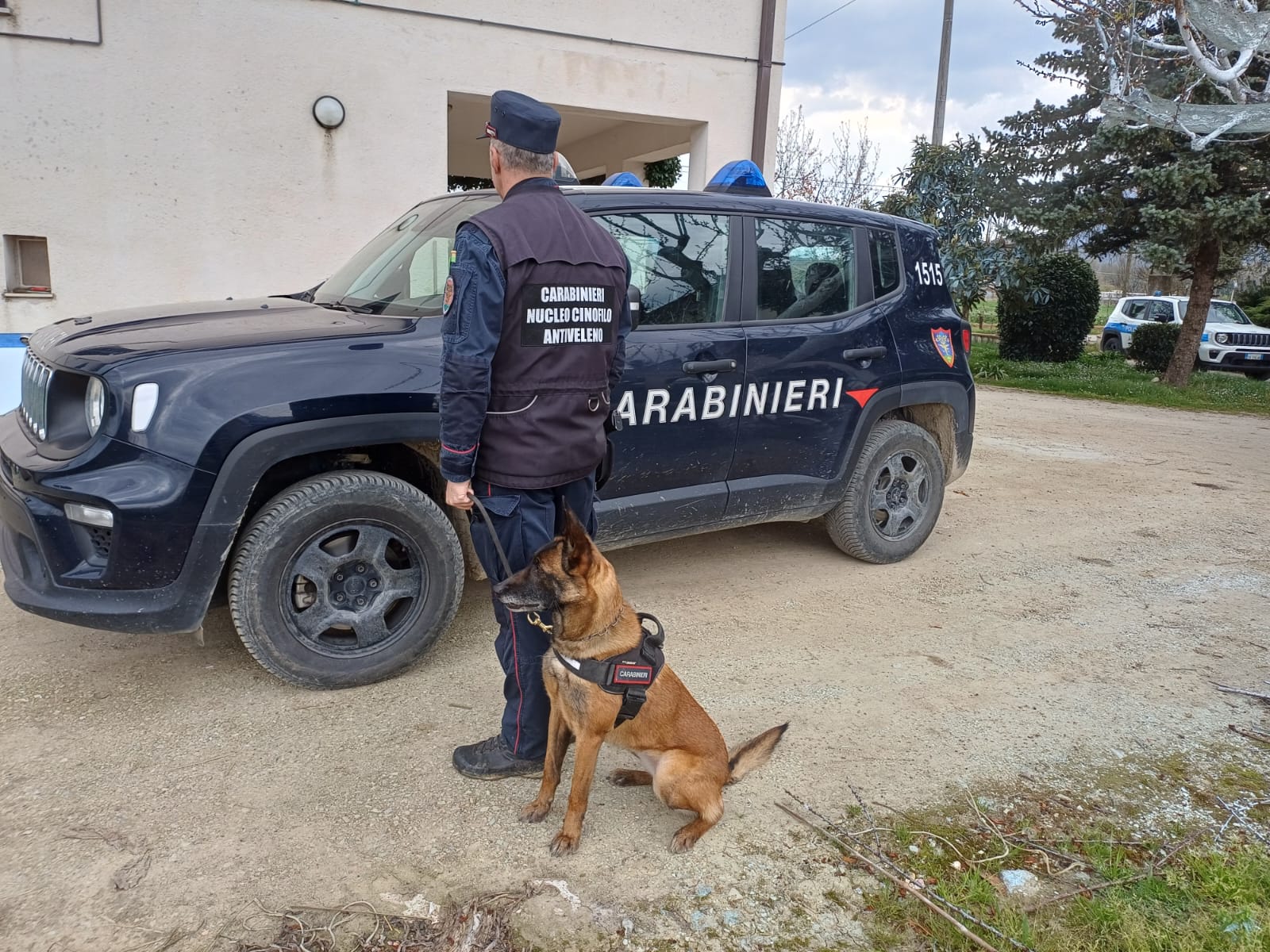 Immagine delle operazioni per la bonifica della zona di Faldo