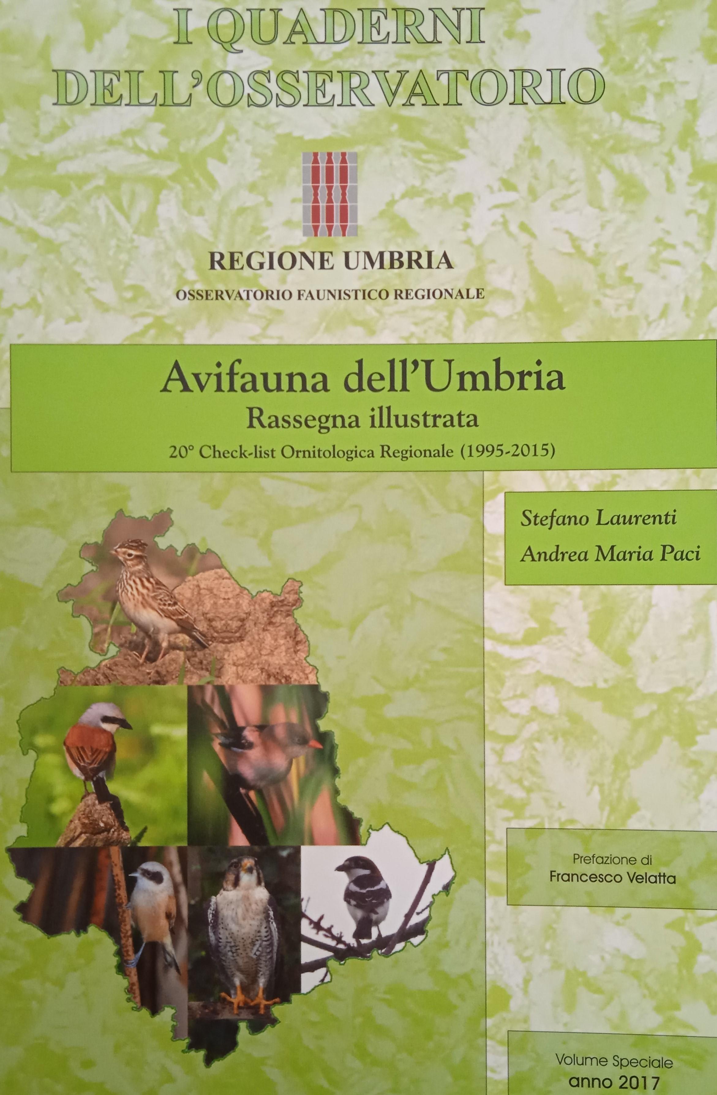 foto di copertina di Mario Andreini, Gianluca Bencivenga e Stefano Laurenti
