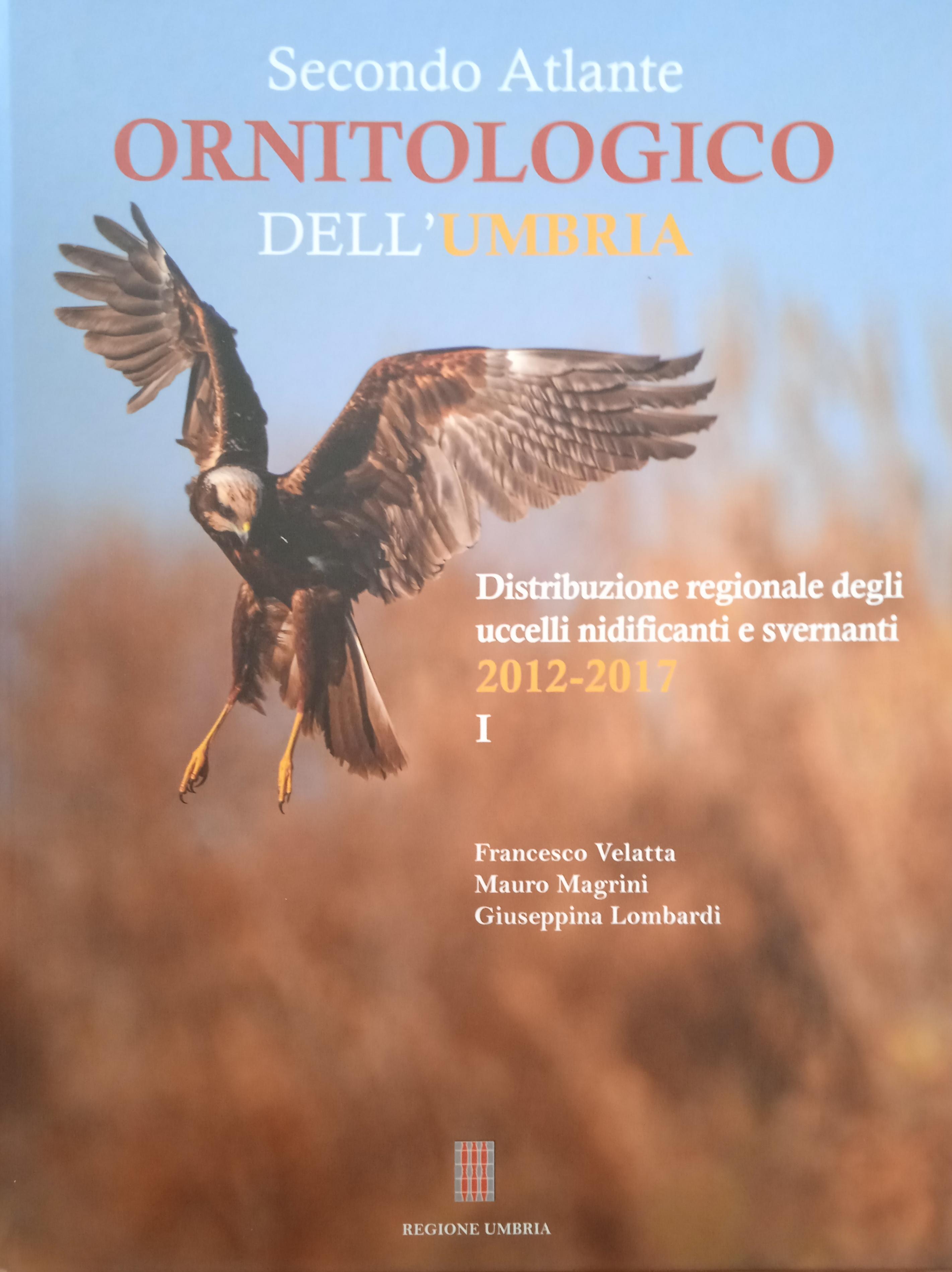 foto delle copertine di Marco Venanzi e Pietro Iannetta