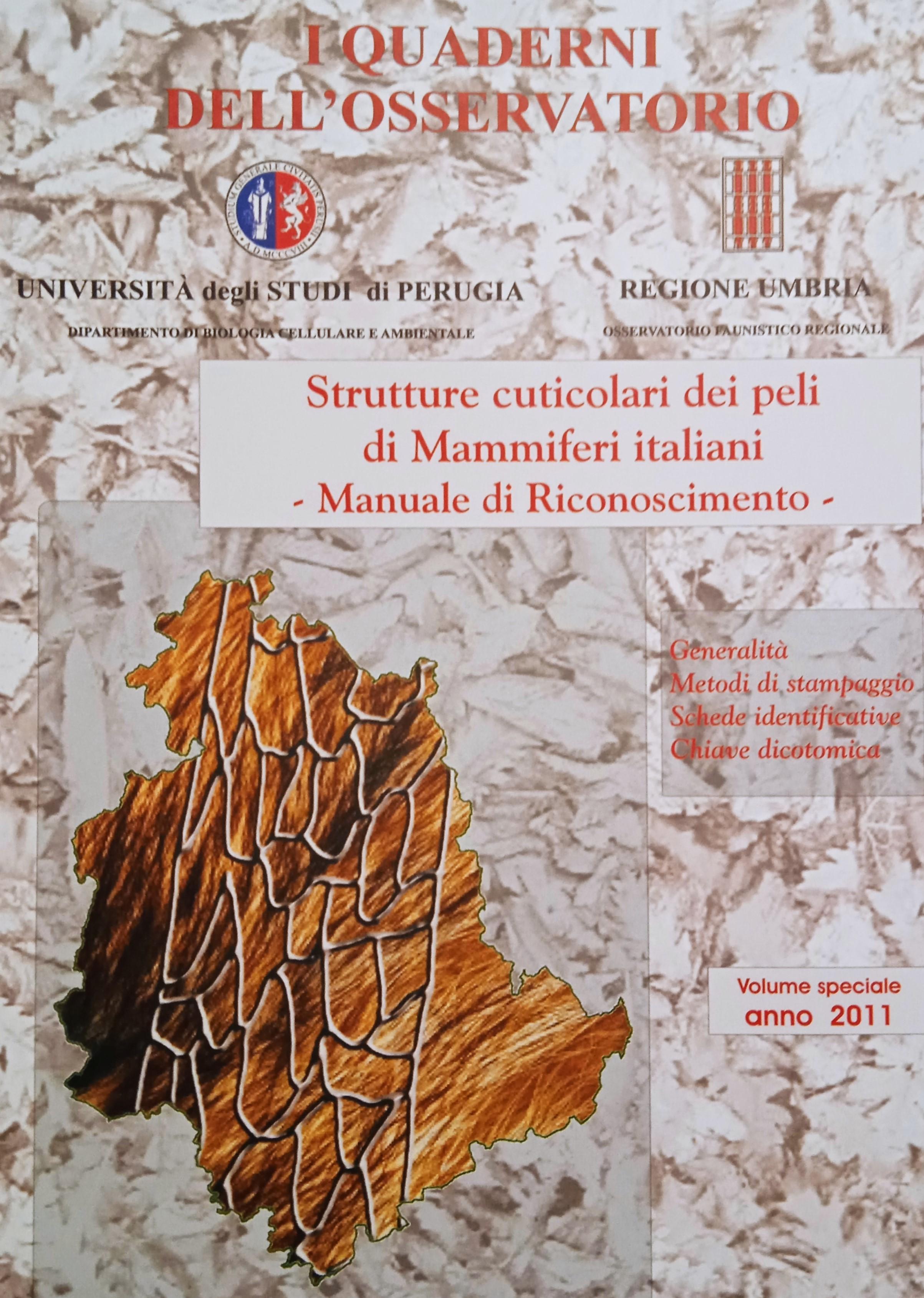 copertina di Giuseppina Lombardi