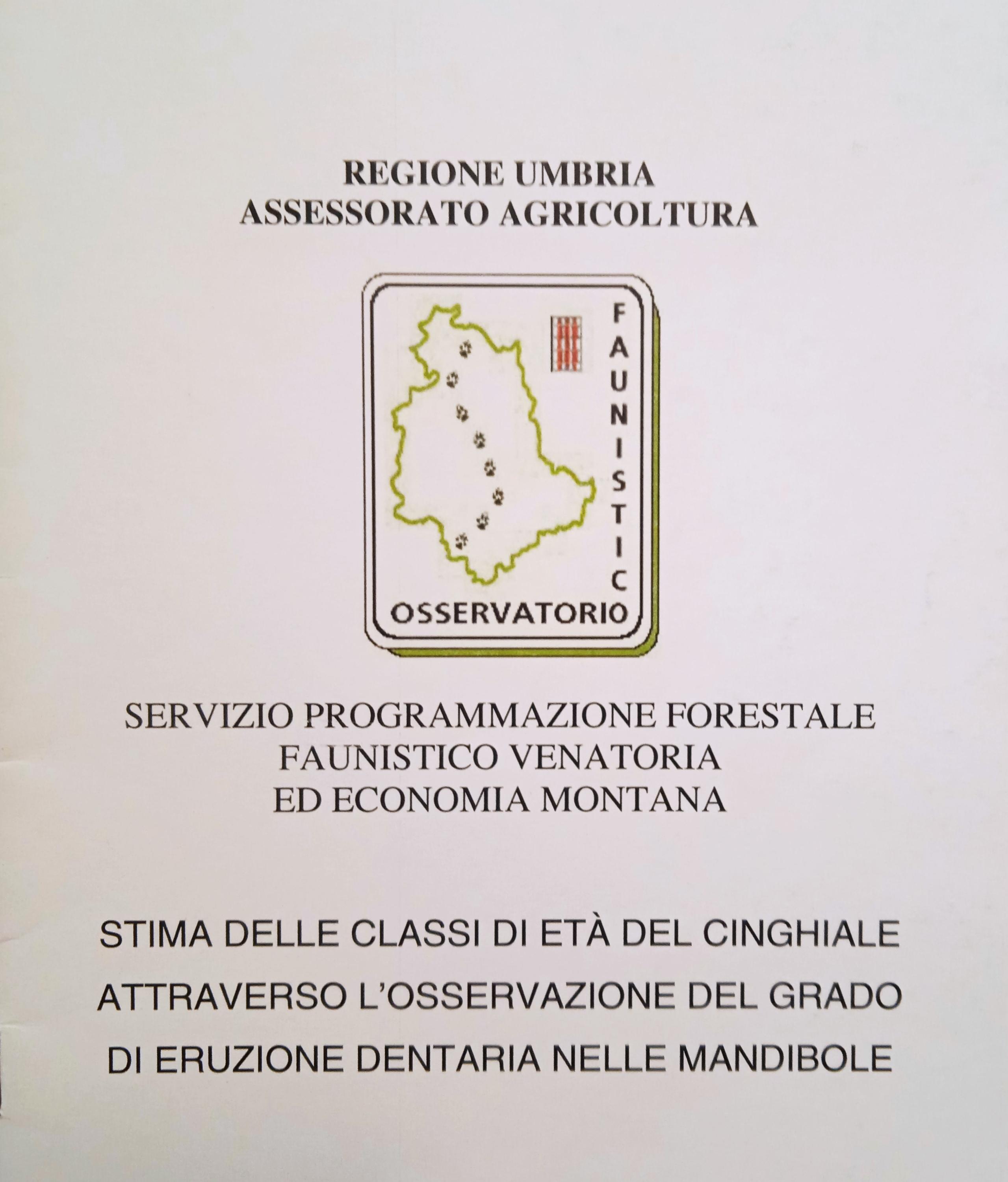 Copertina di G. Lombardi