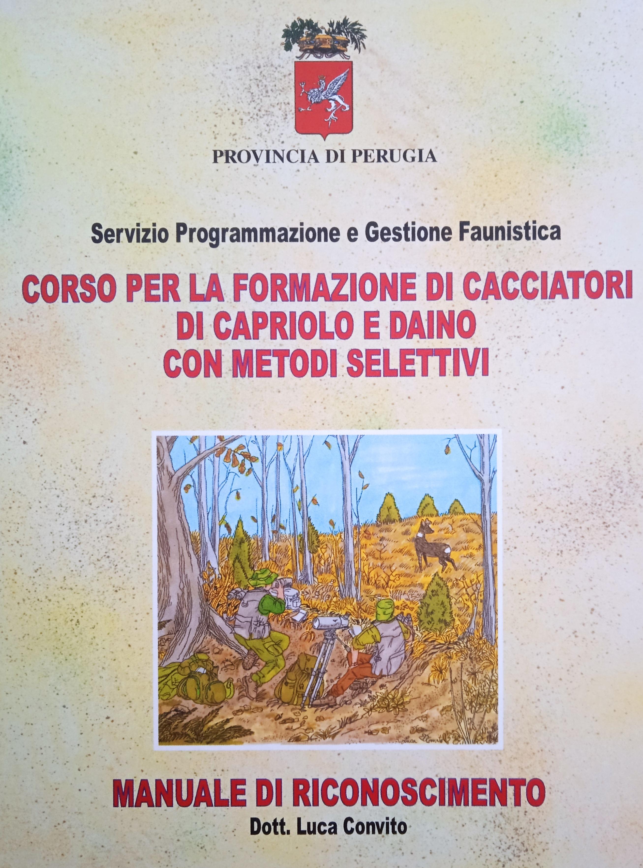 Illustrazione di copertina di Luca Convito