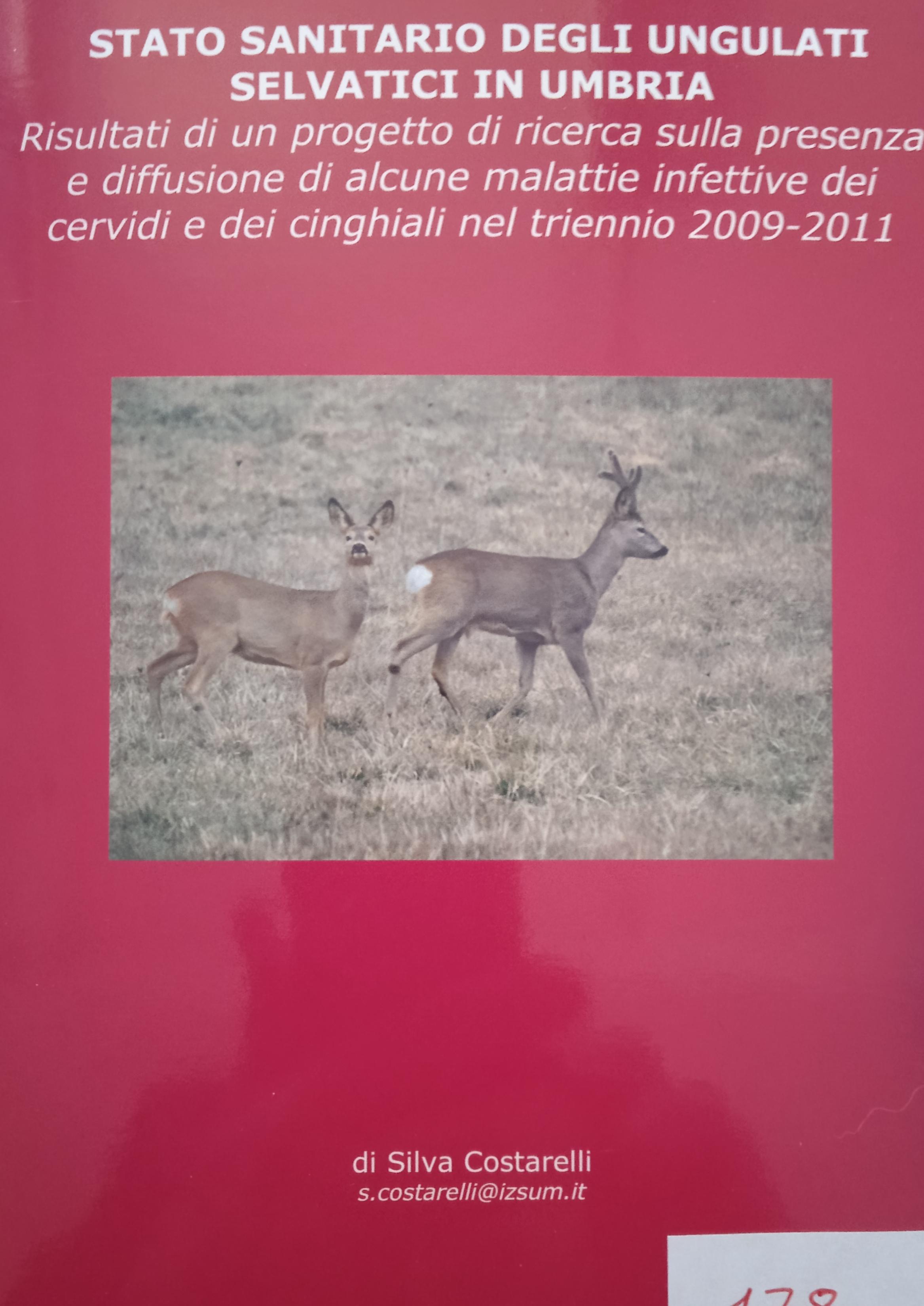 foto di copertina di Luca Convito