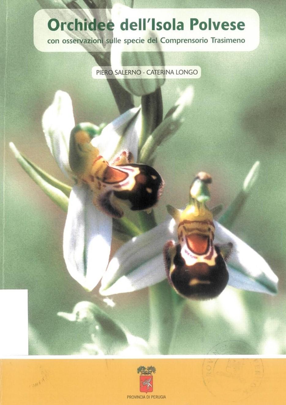Ophrys apifera