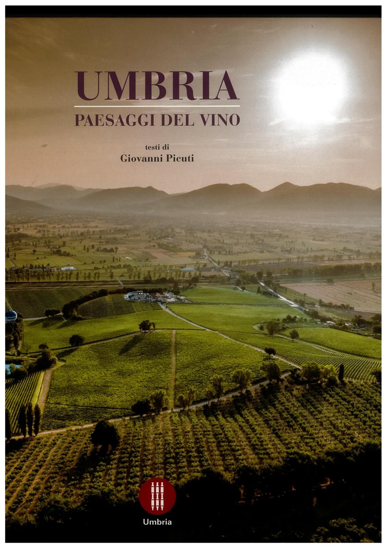 Copertina dell'opera