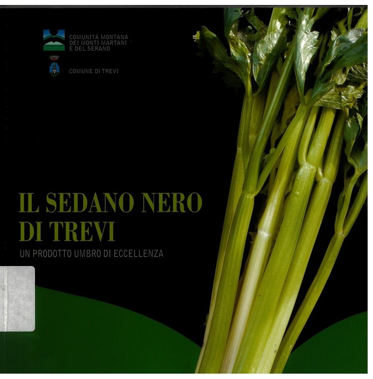 Copertina dell'opera