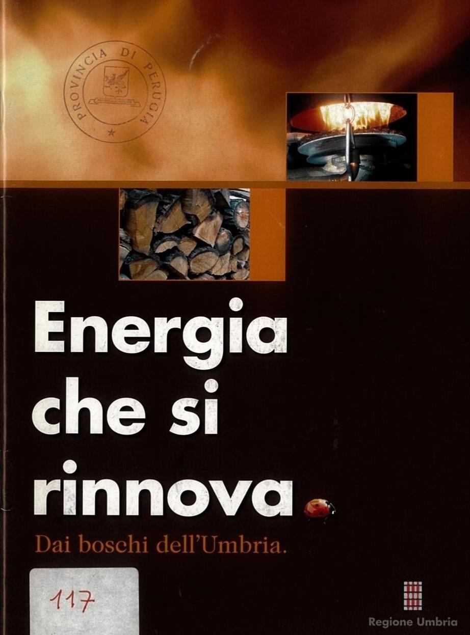 Copertina dell'opera