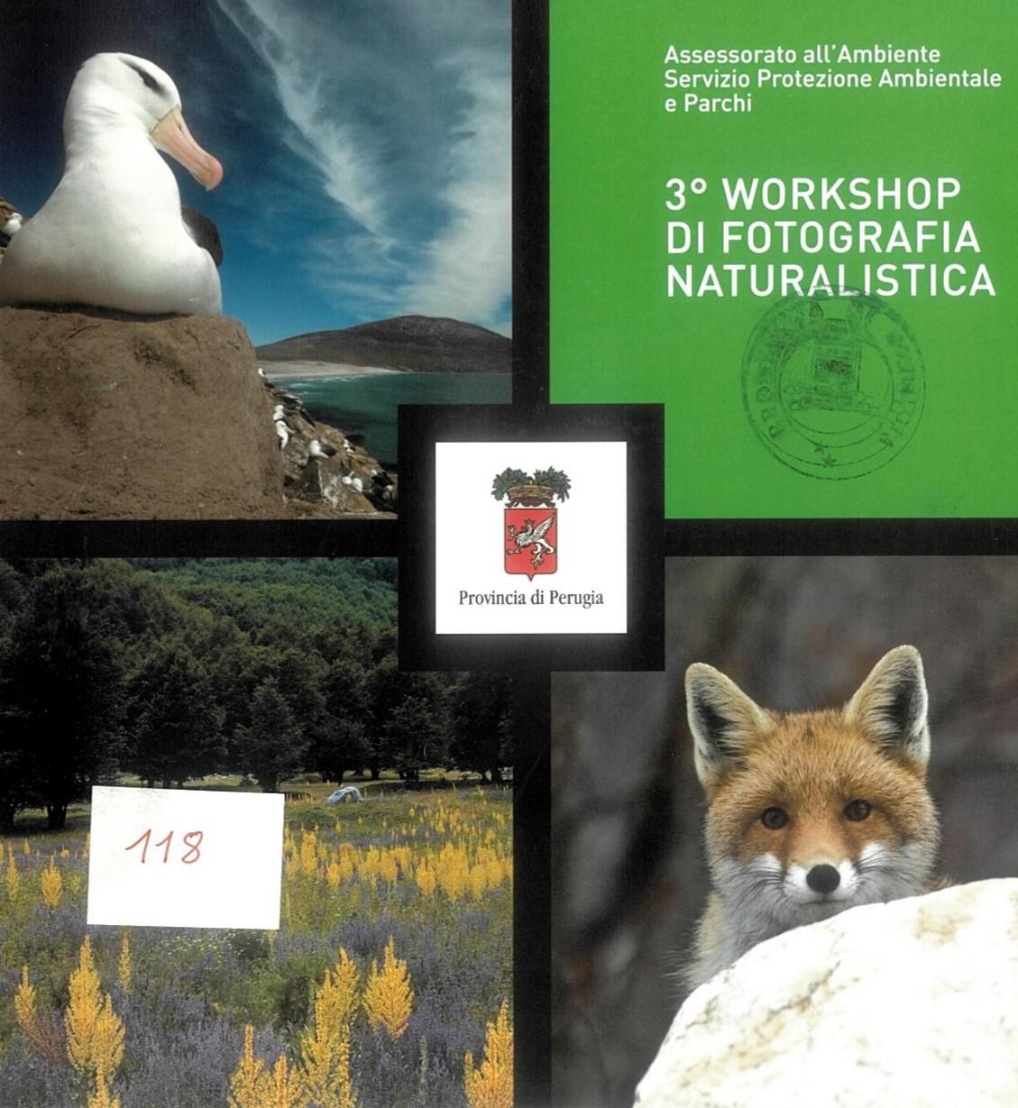 copertina volume