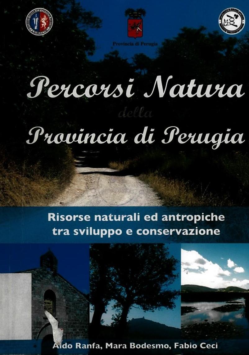 Copertina dell'opera