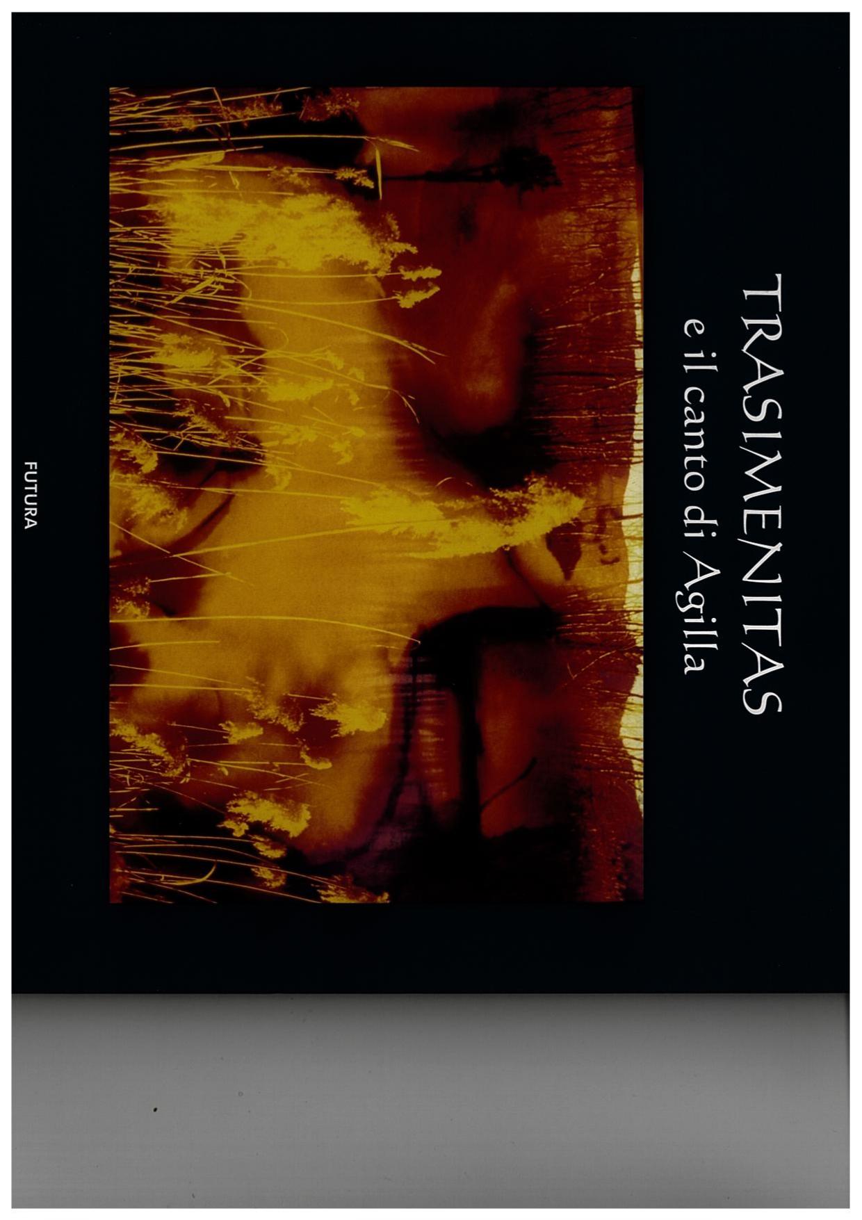 Copertina dell'opera