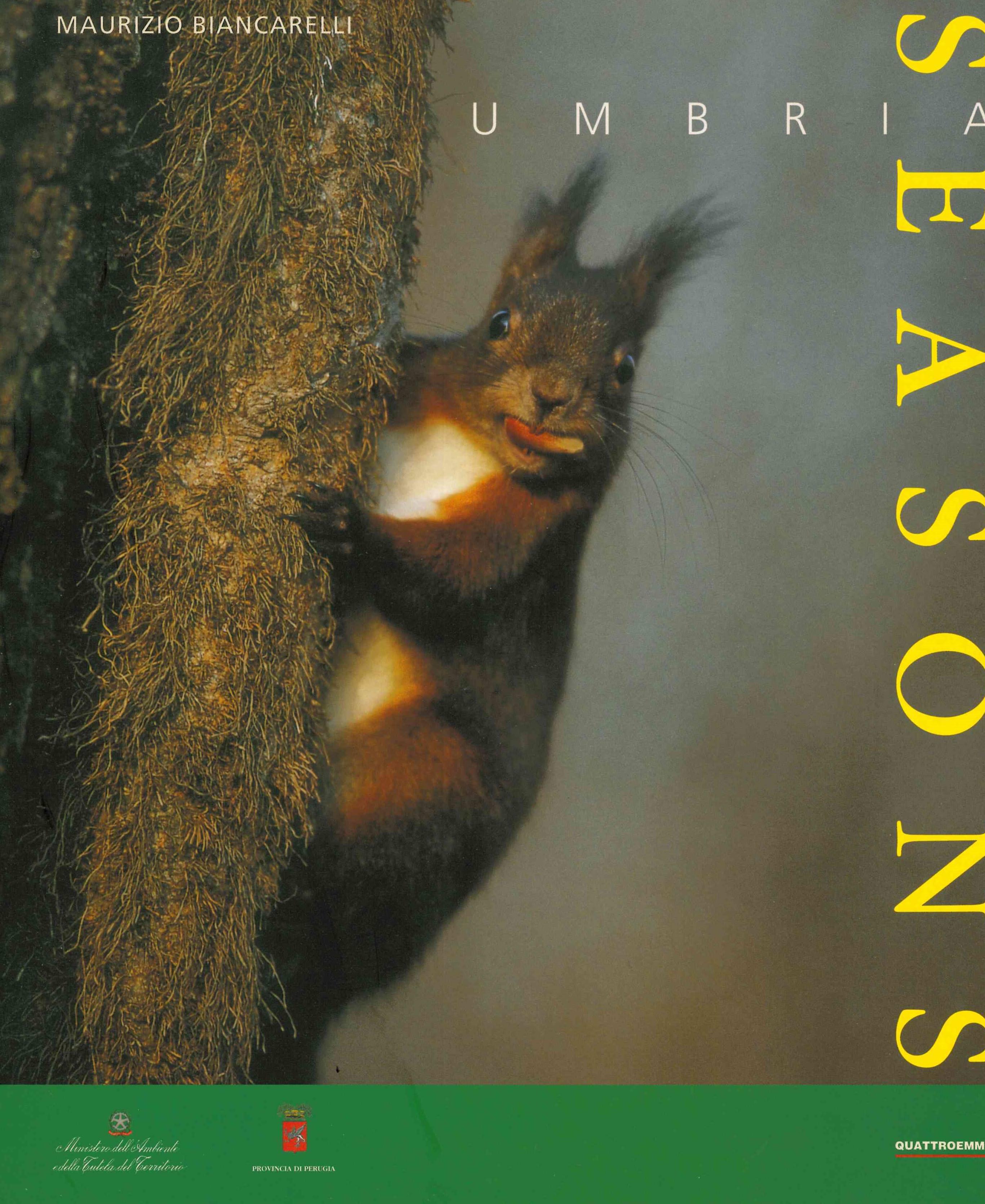 Copertina