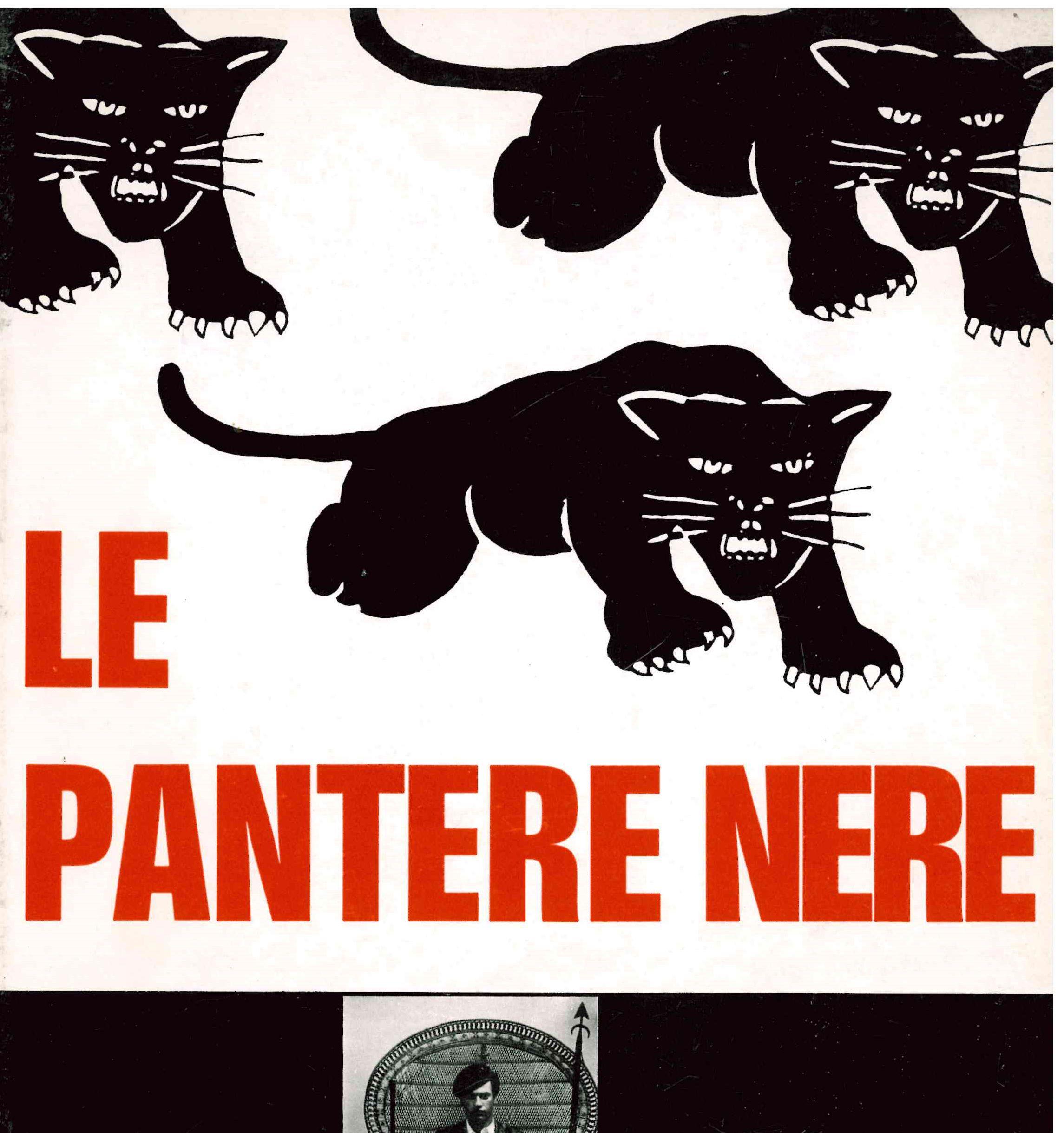 Le pantere nere