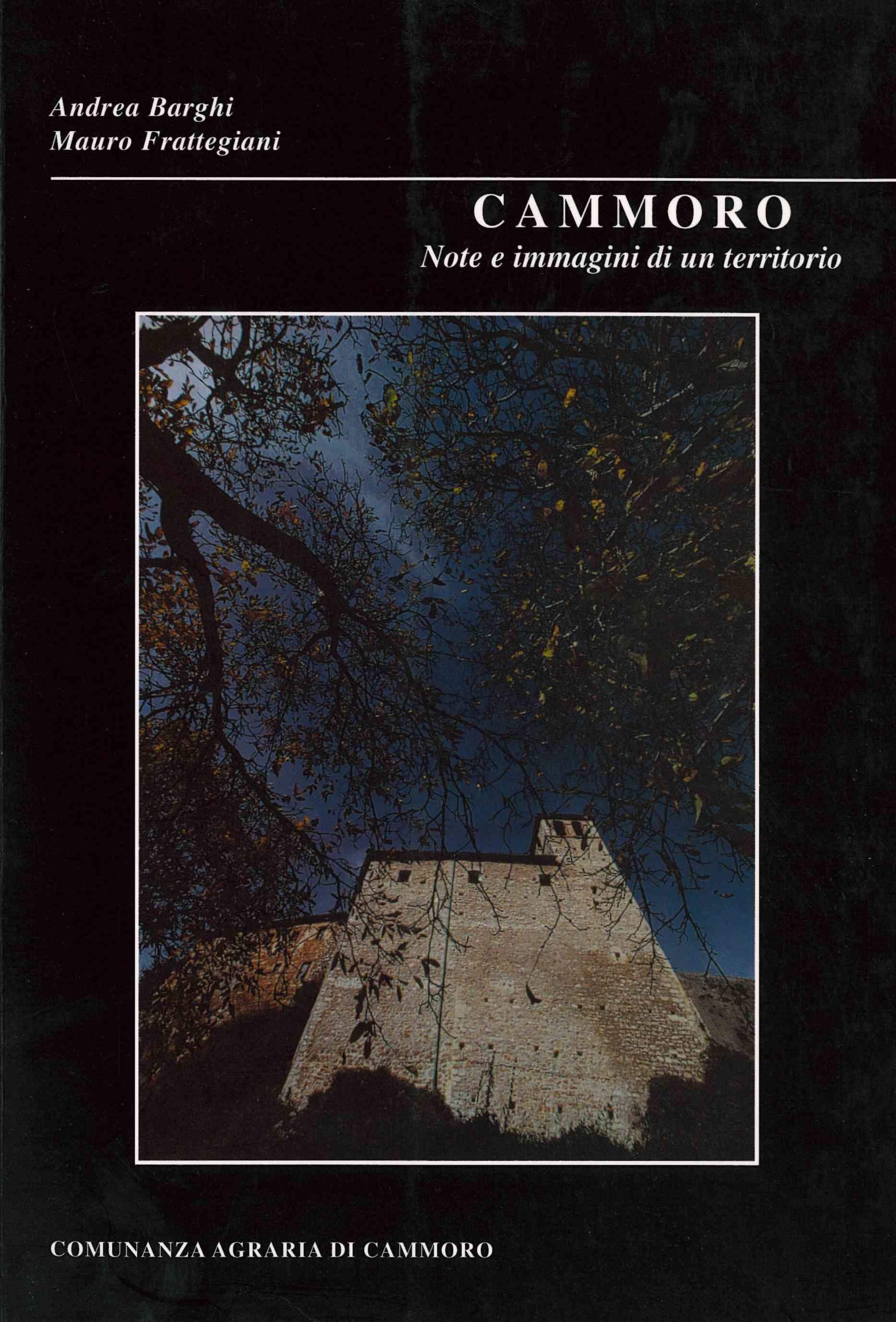 Copertina