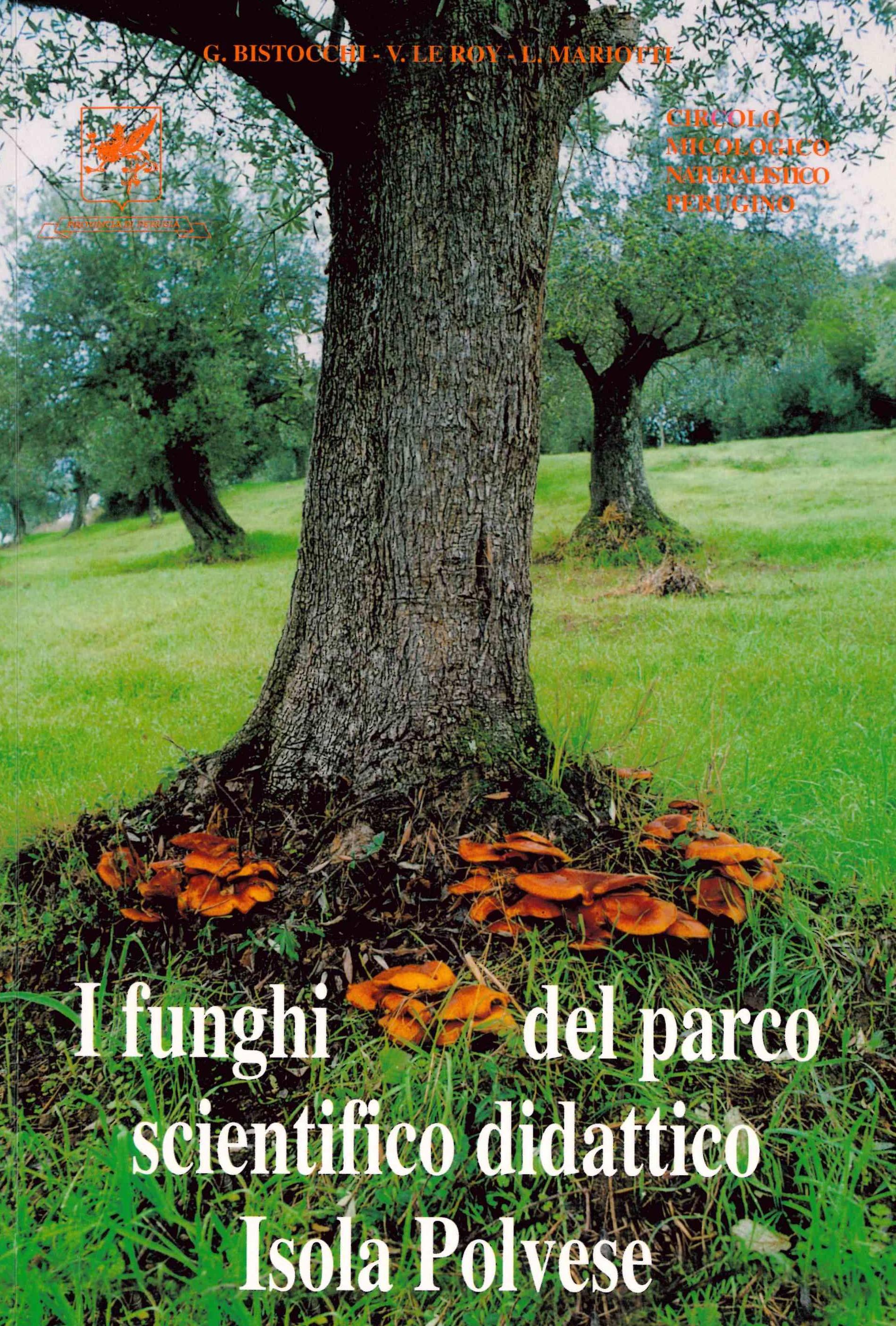 Copertina