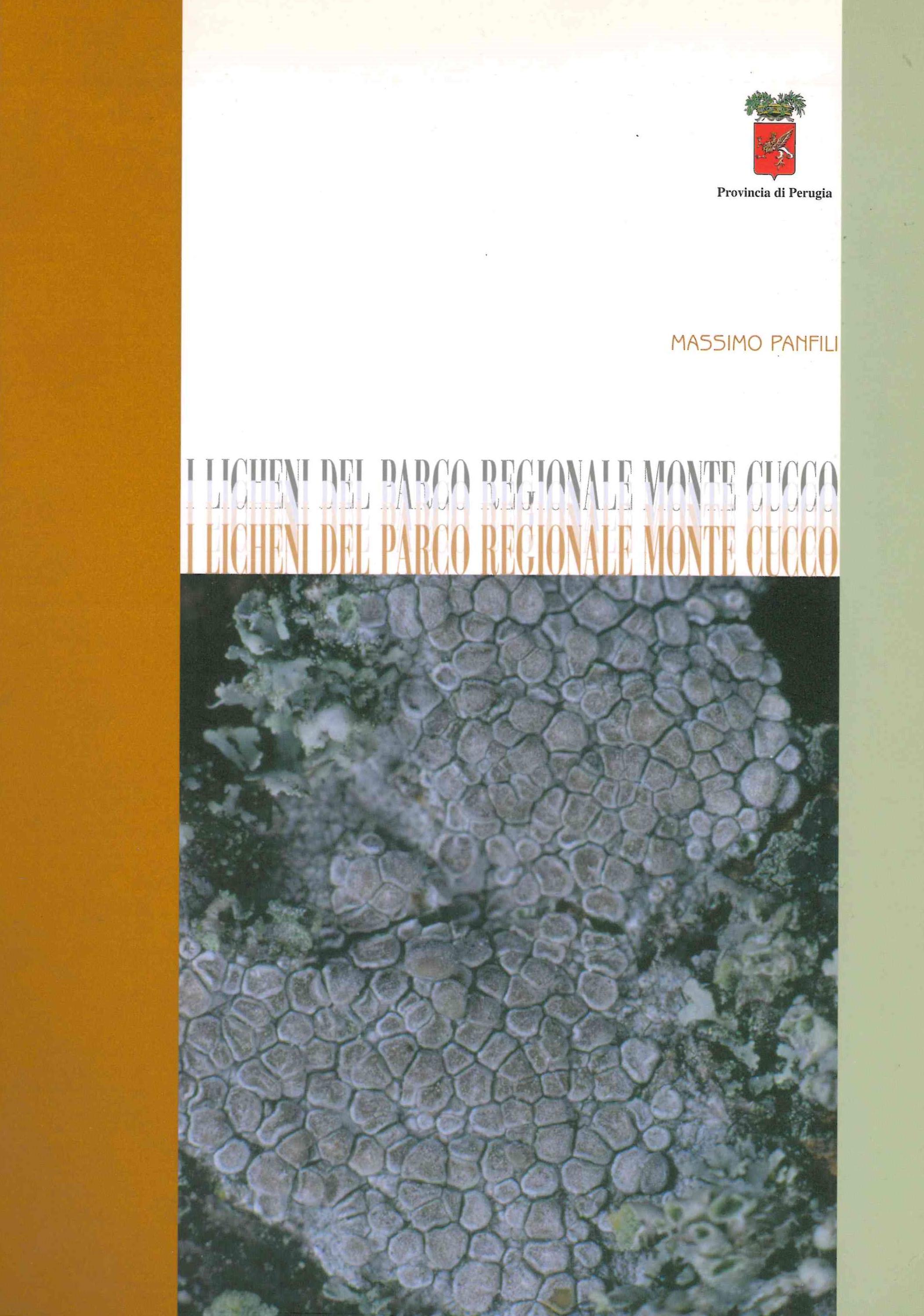 Copertina