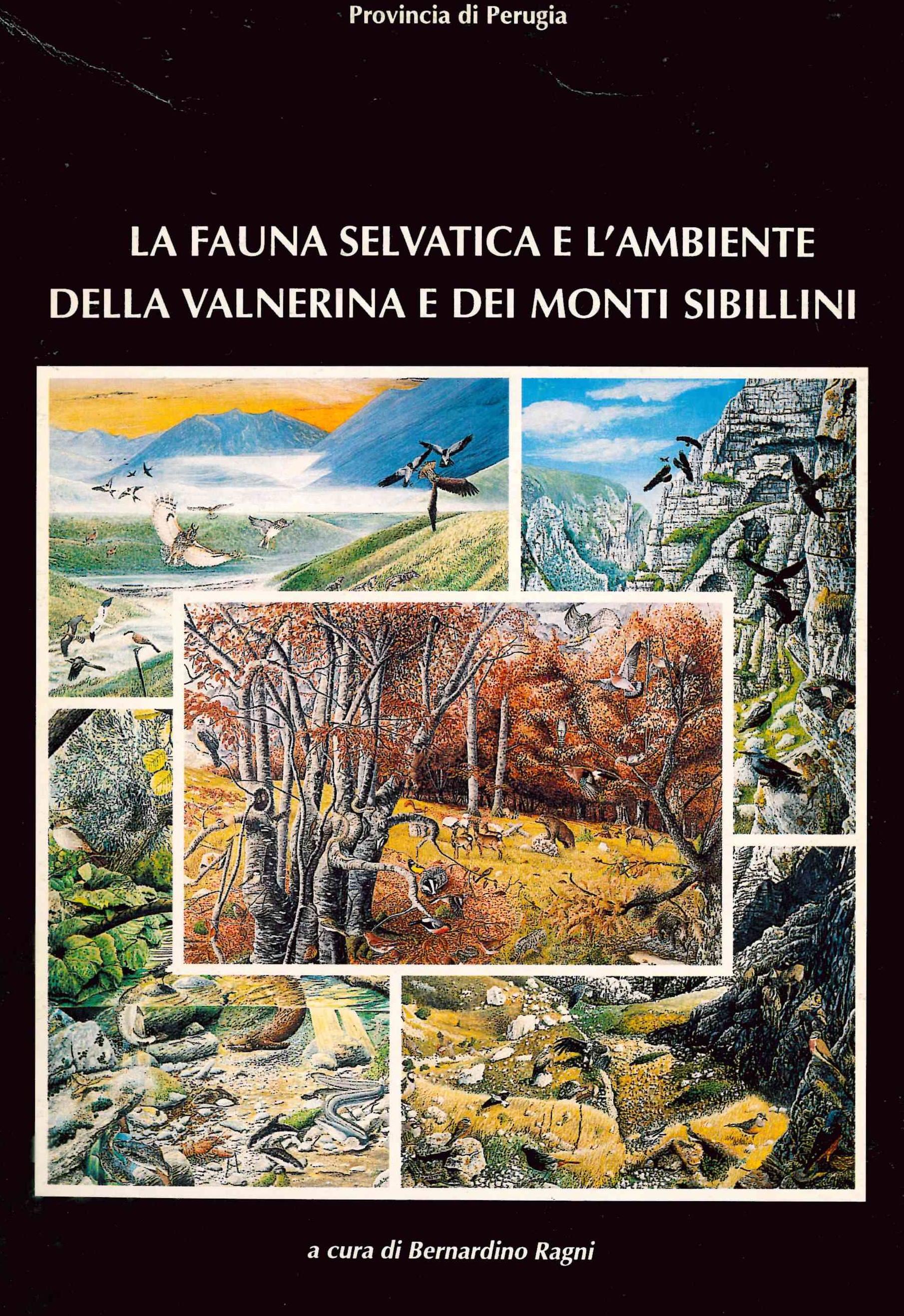 Copertina
