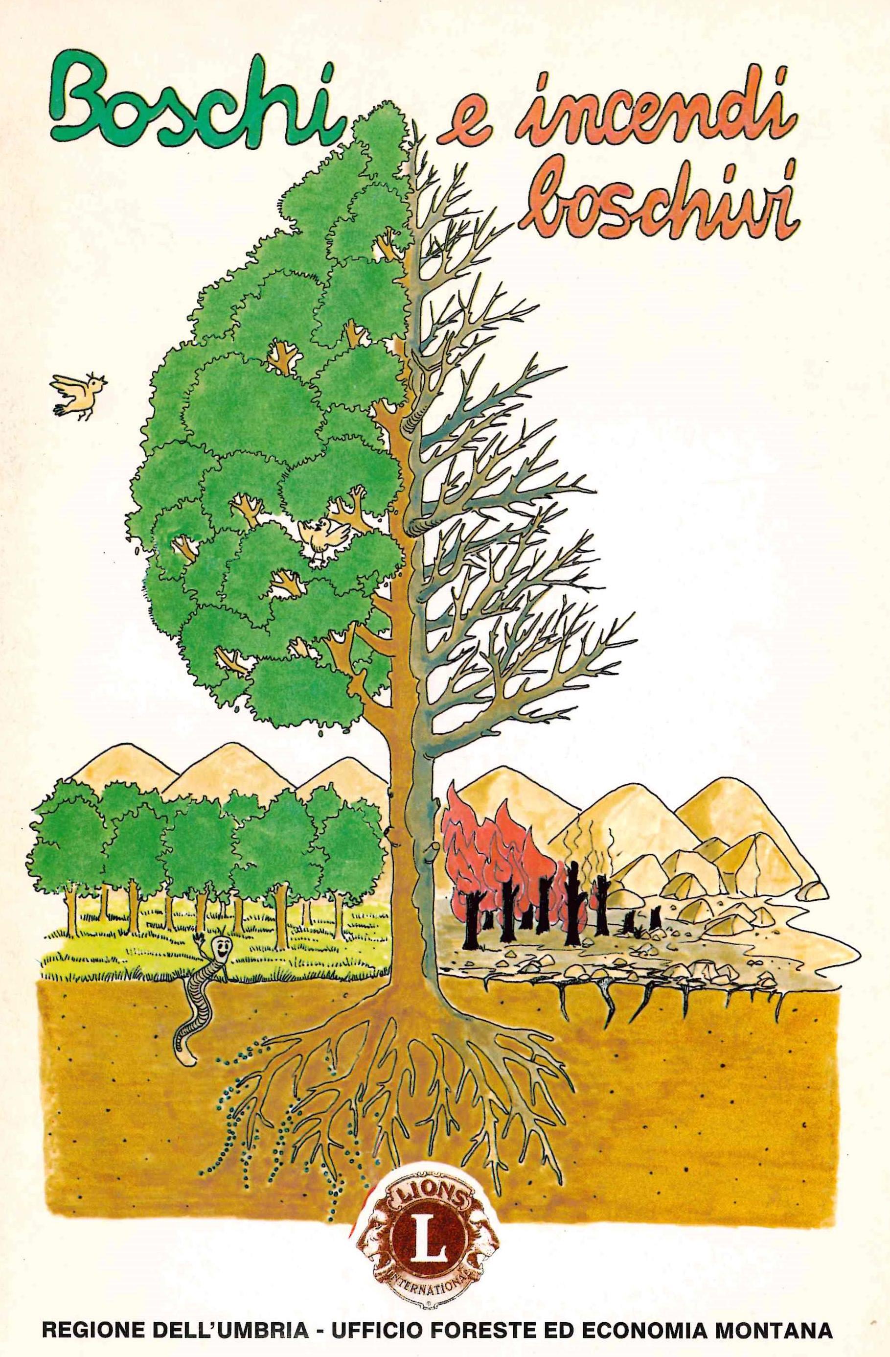 Copertina
