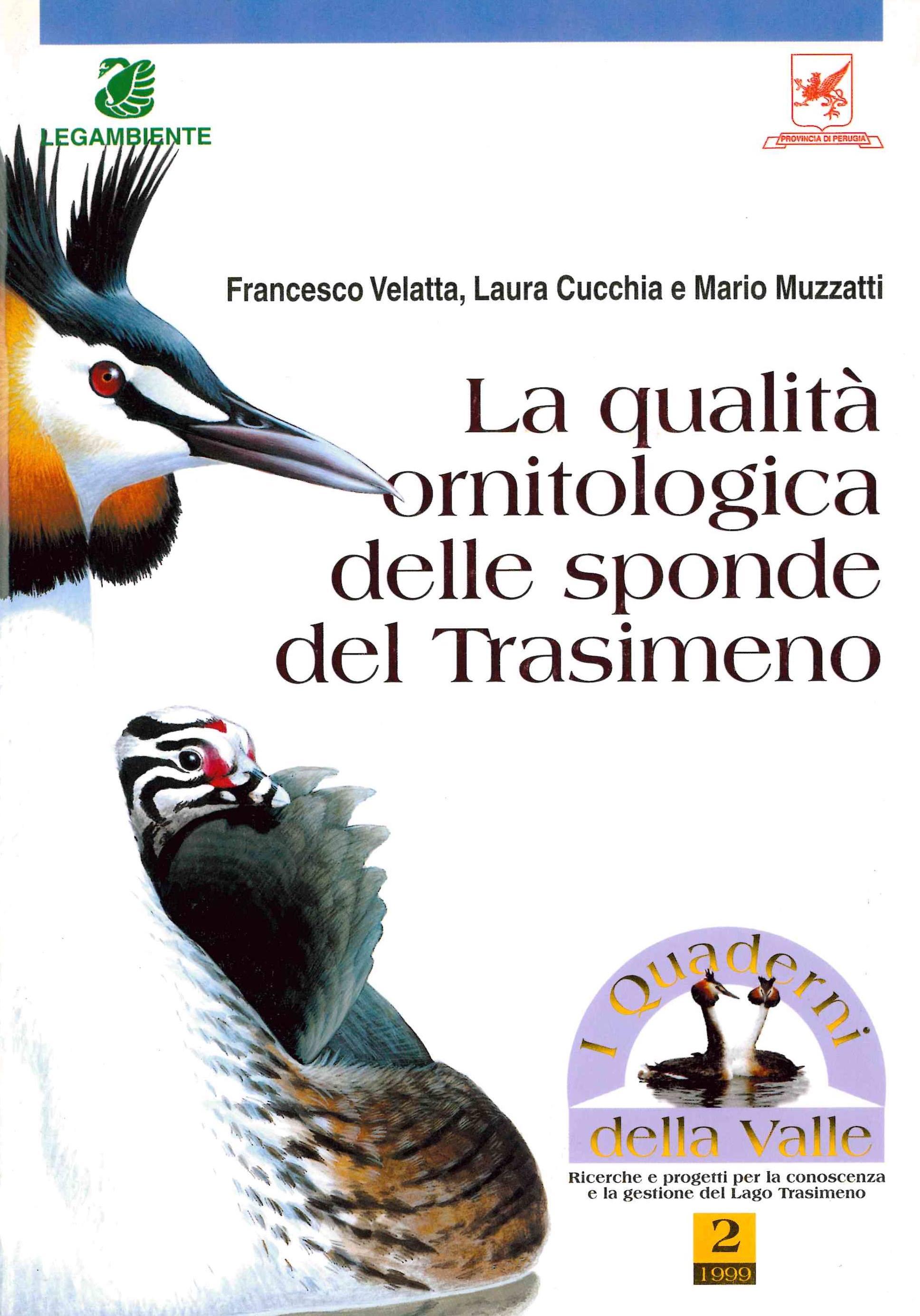 Copertina