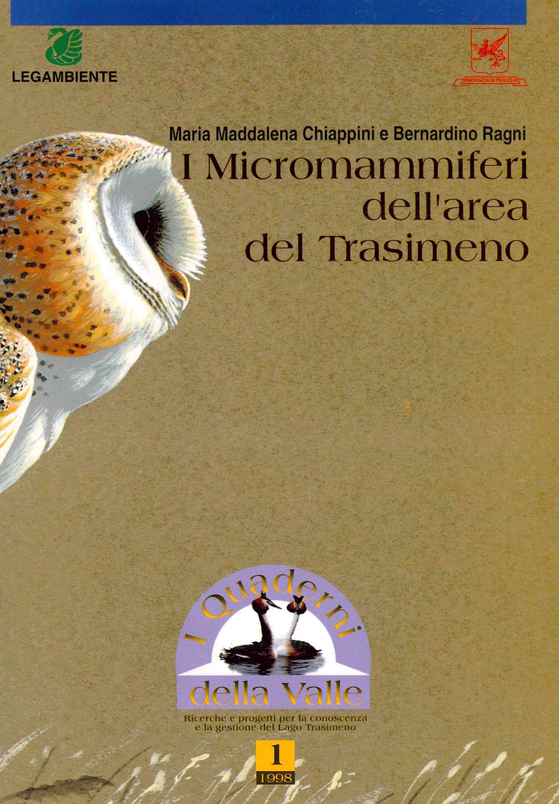 Copertina
