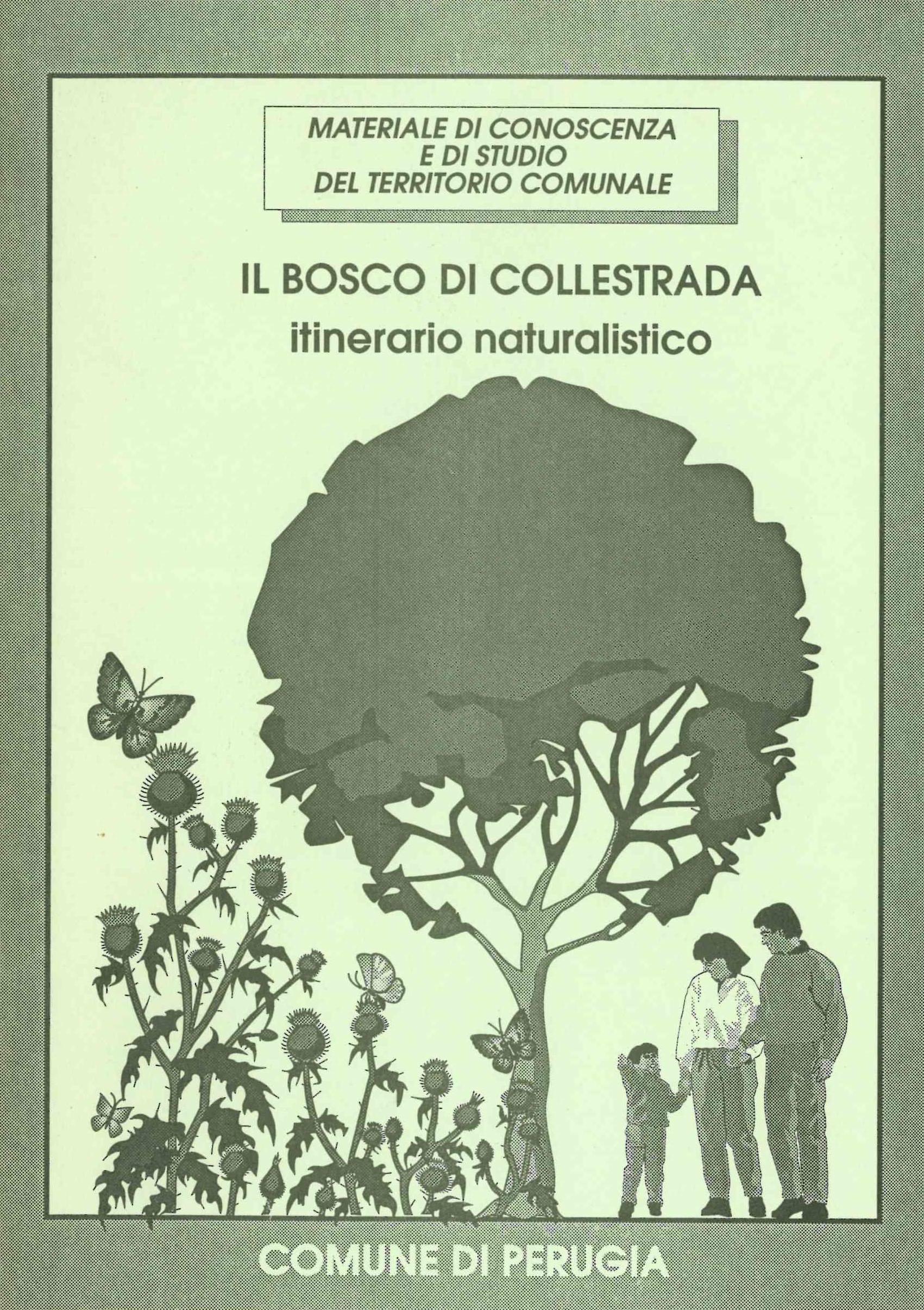 Copertina