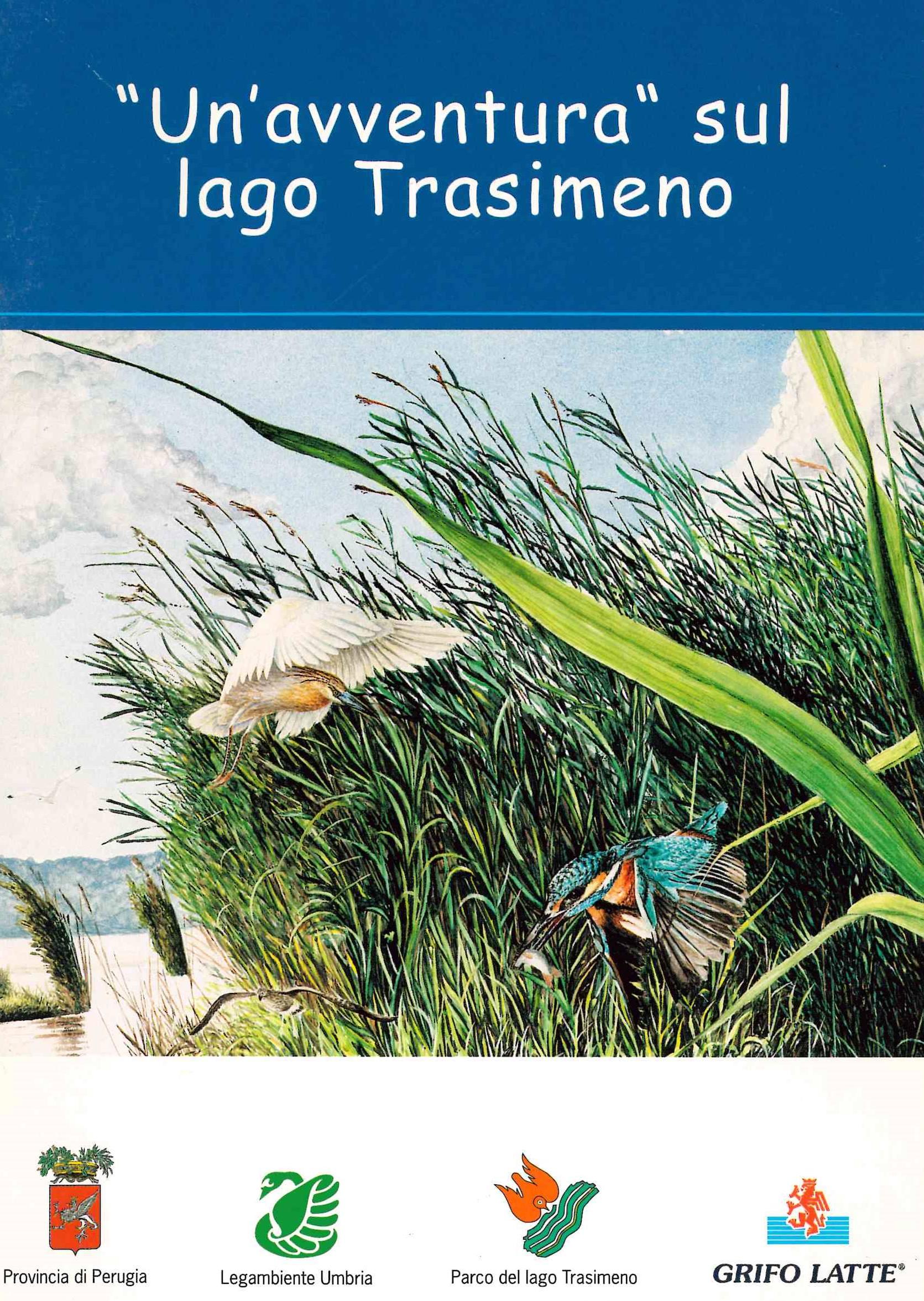 Copertina