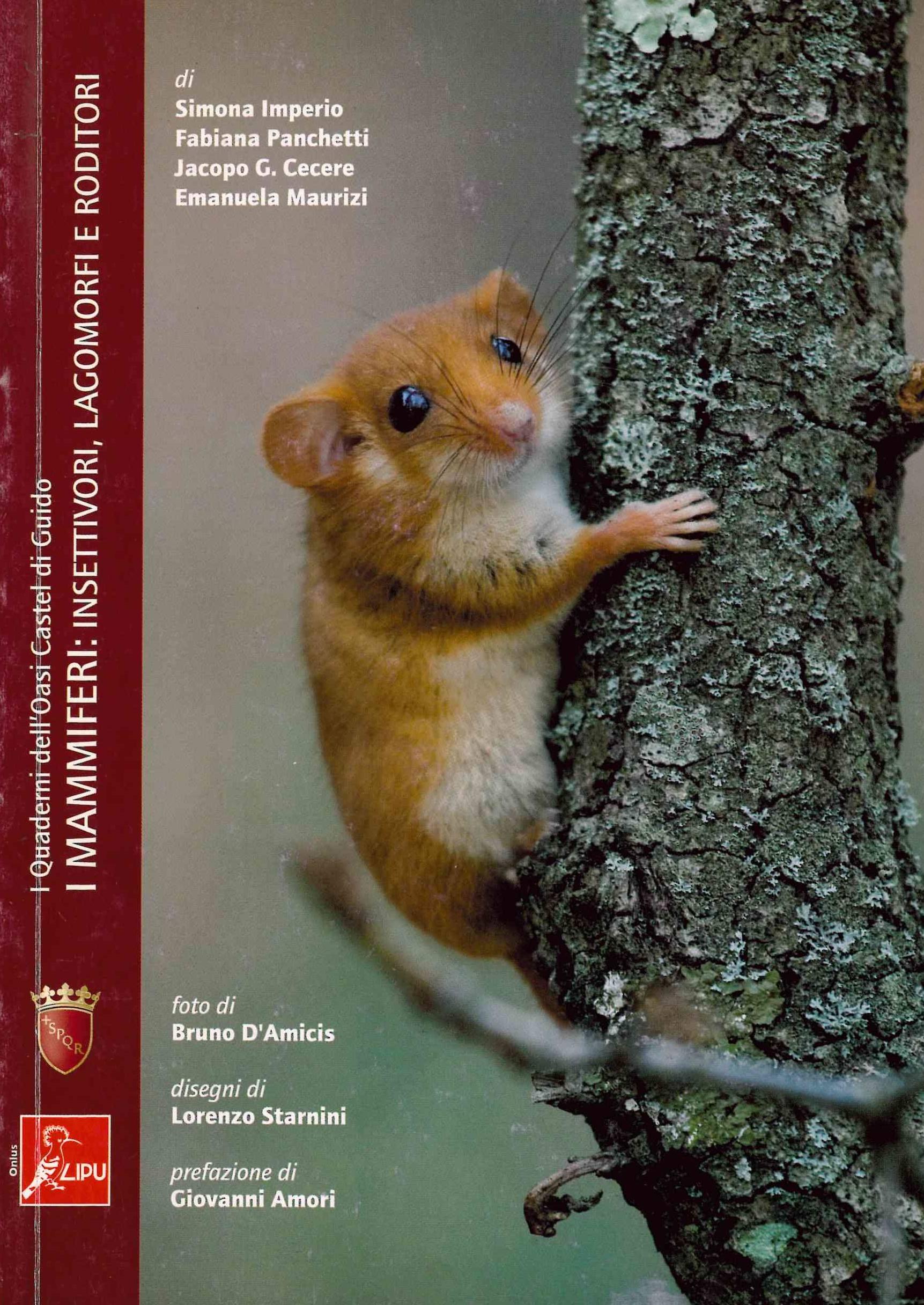 Copertina