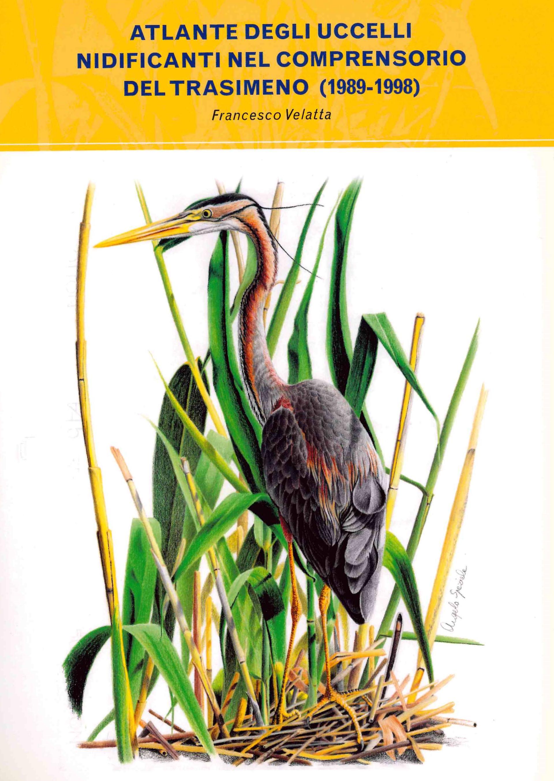 Copertina