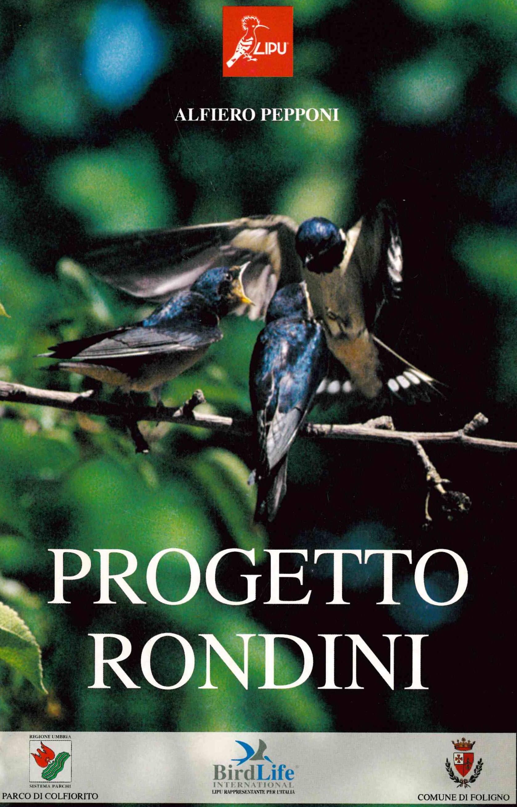 Copertina